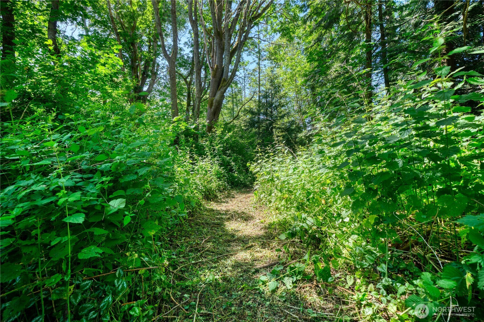 0 6.39 Acres South Beach Road Property Photo 1