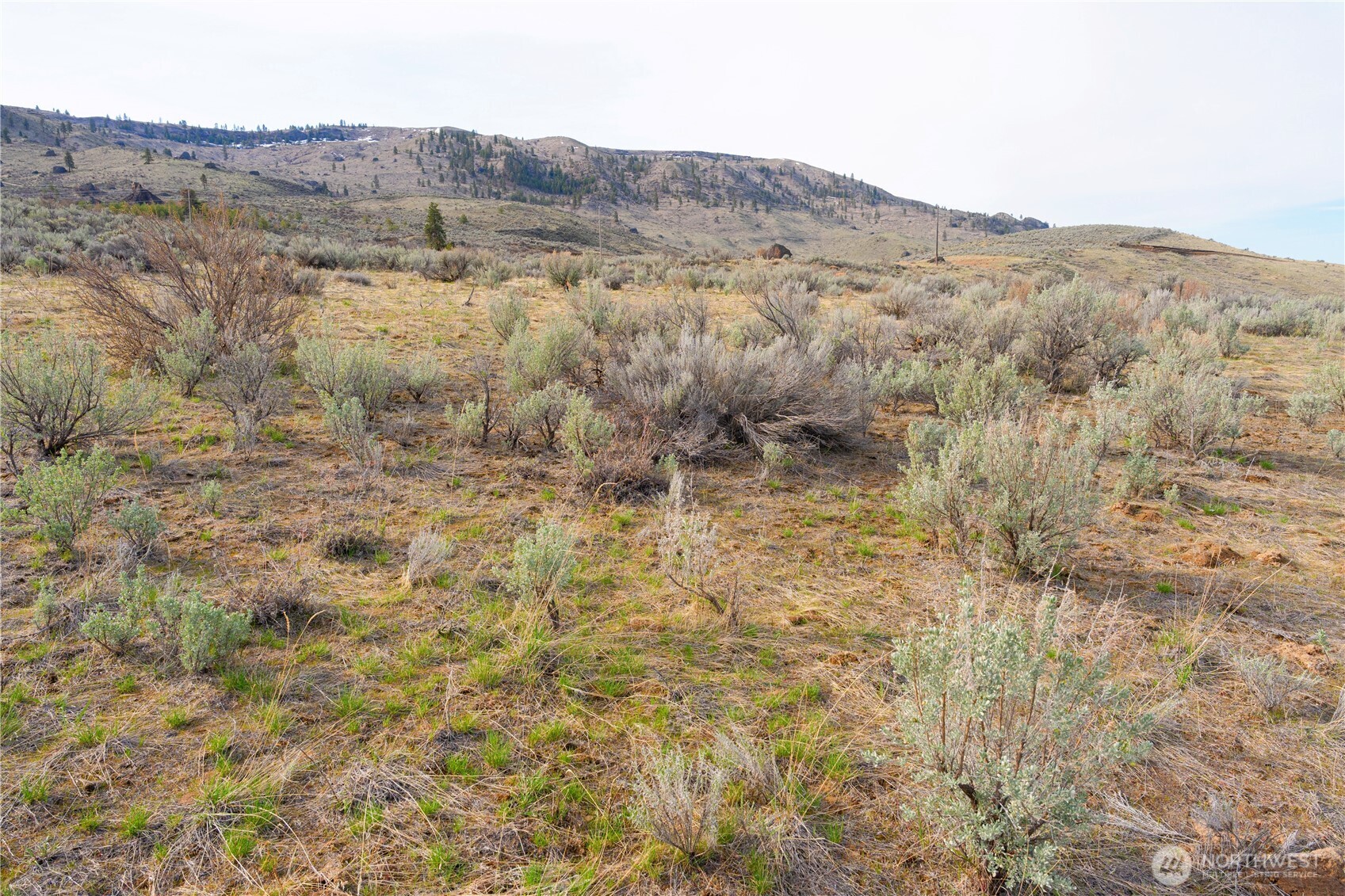 0 Parcel E Mcneil Canyon Rd Property Photo 4