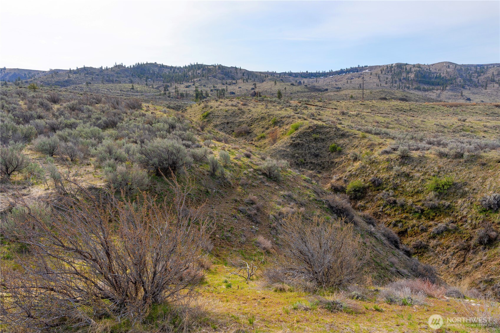 0 Parcel E Mcneil Canyon Rd Property Photo 10