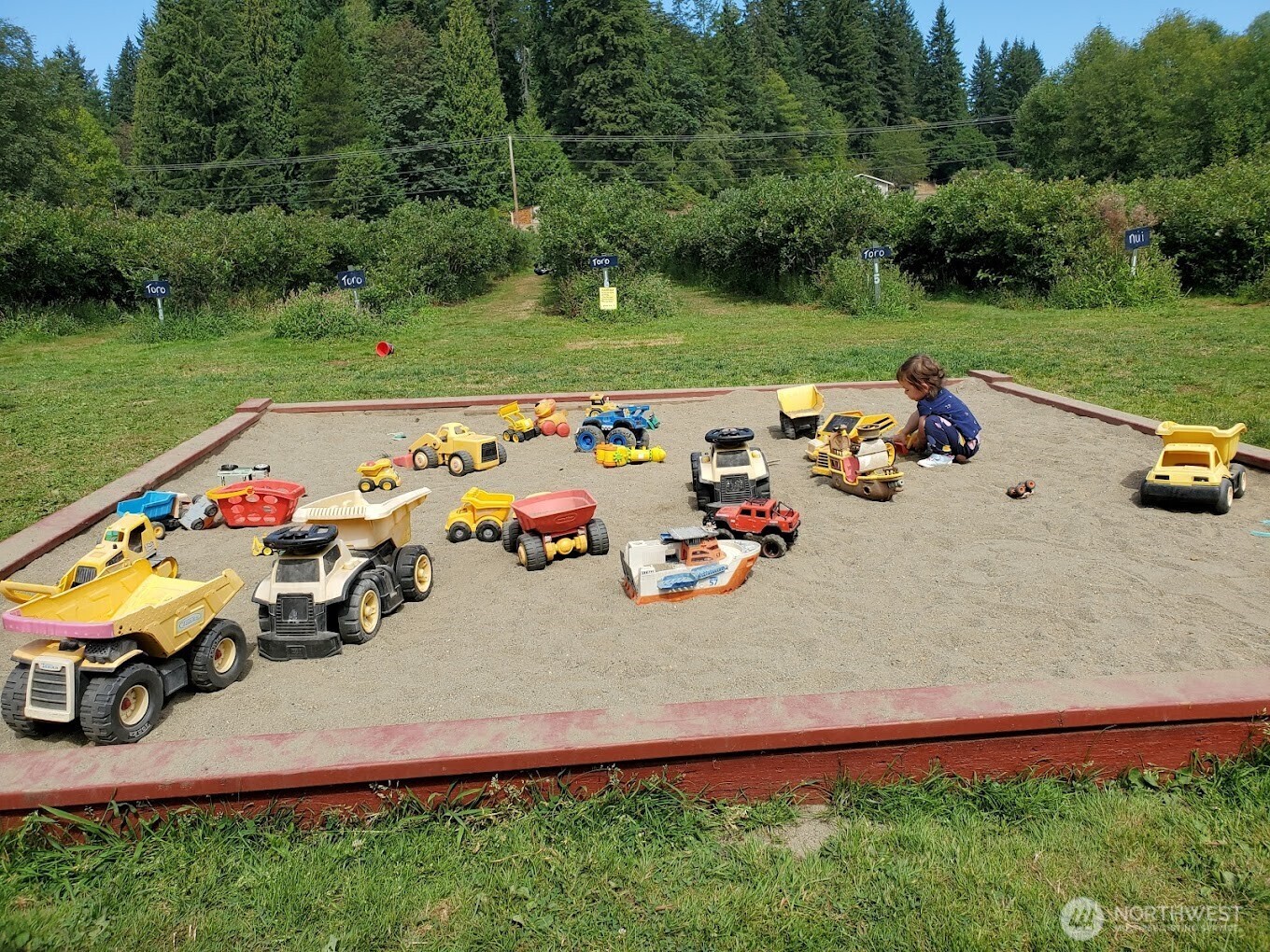 5628 Grandview Road Property Photo 10