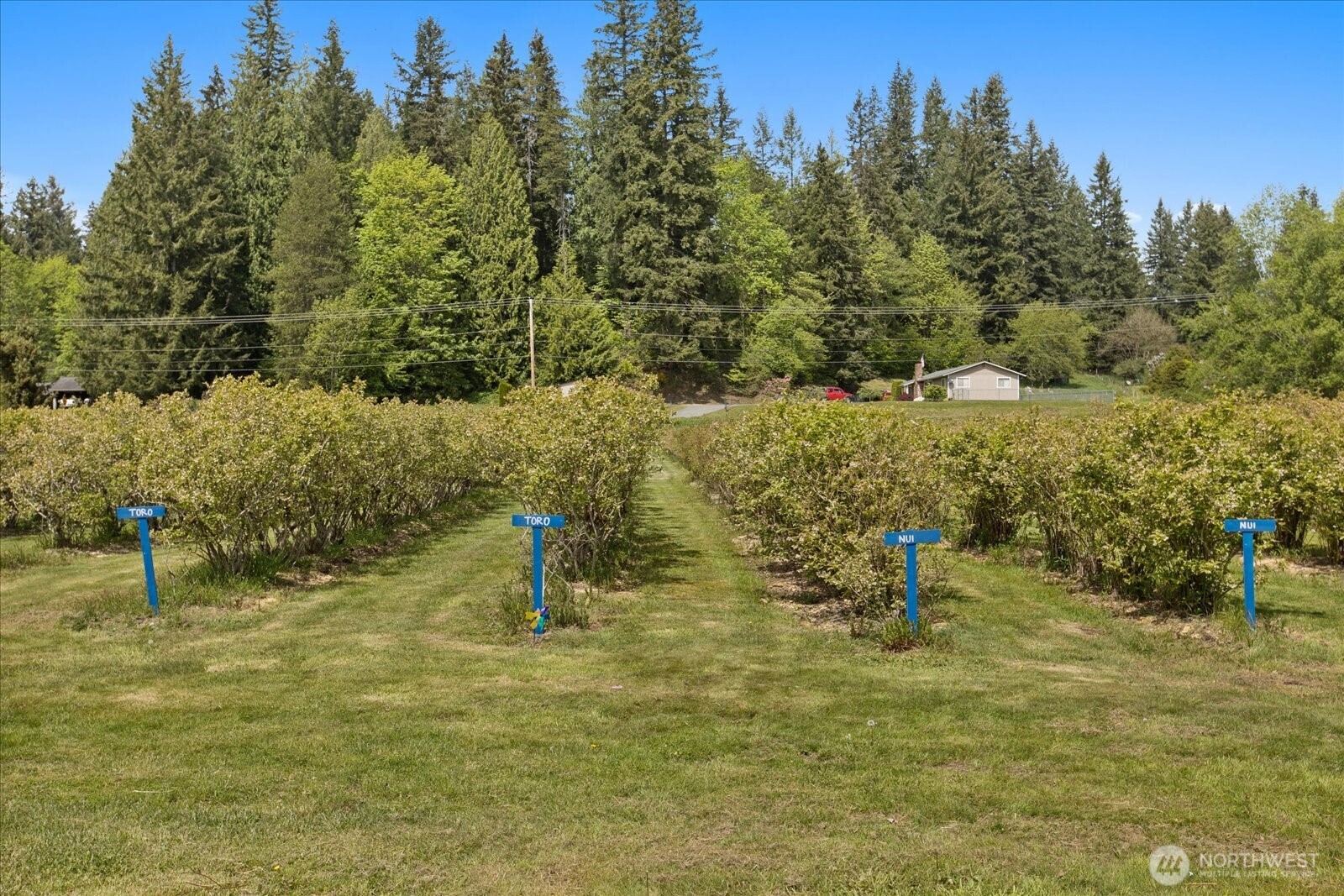 5628 Grandview Road Property Photo 11