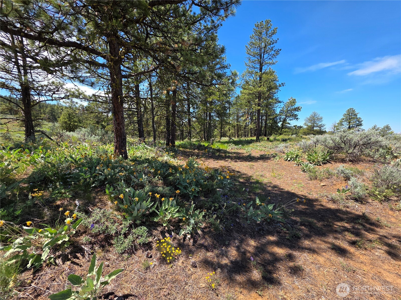 101 Wren Nest Road Property Photo 1