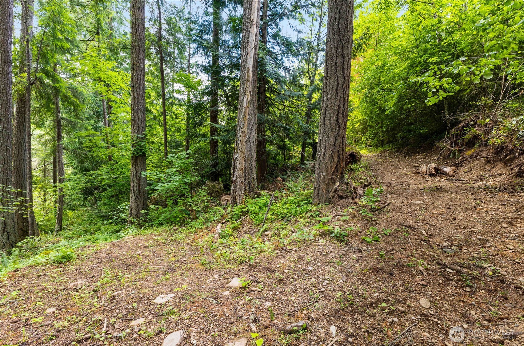 12833 Squaw Wood Lane Property Photo 38