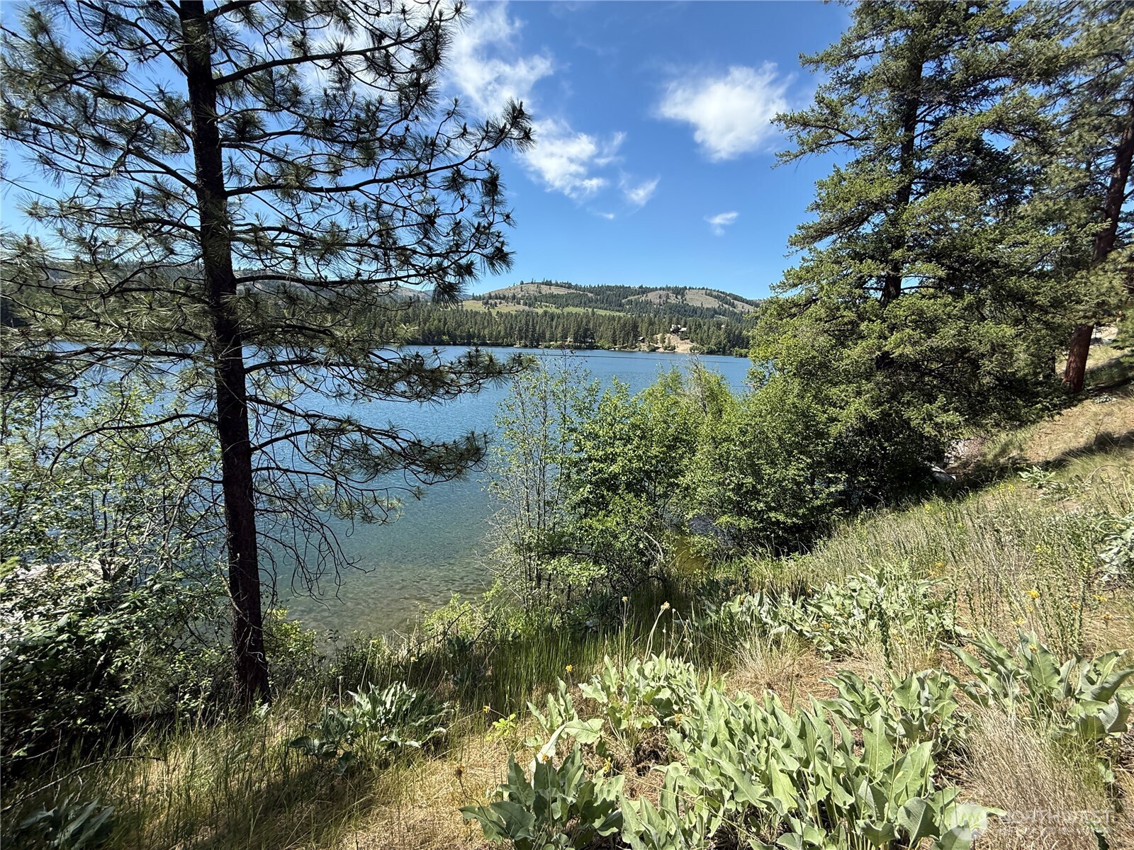 0 Dollar Bar Beach Road Property Photo 6