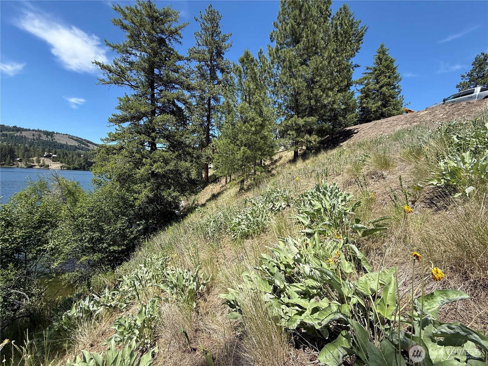 0 Dollar Bar Beach Road Property Photo 8