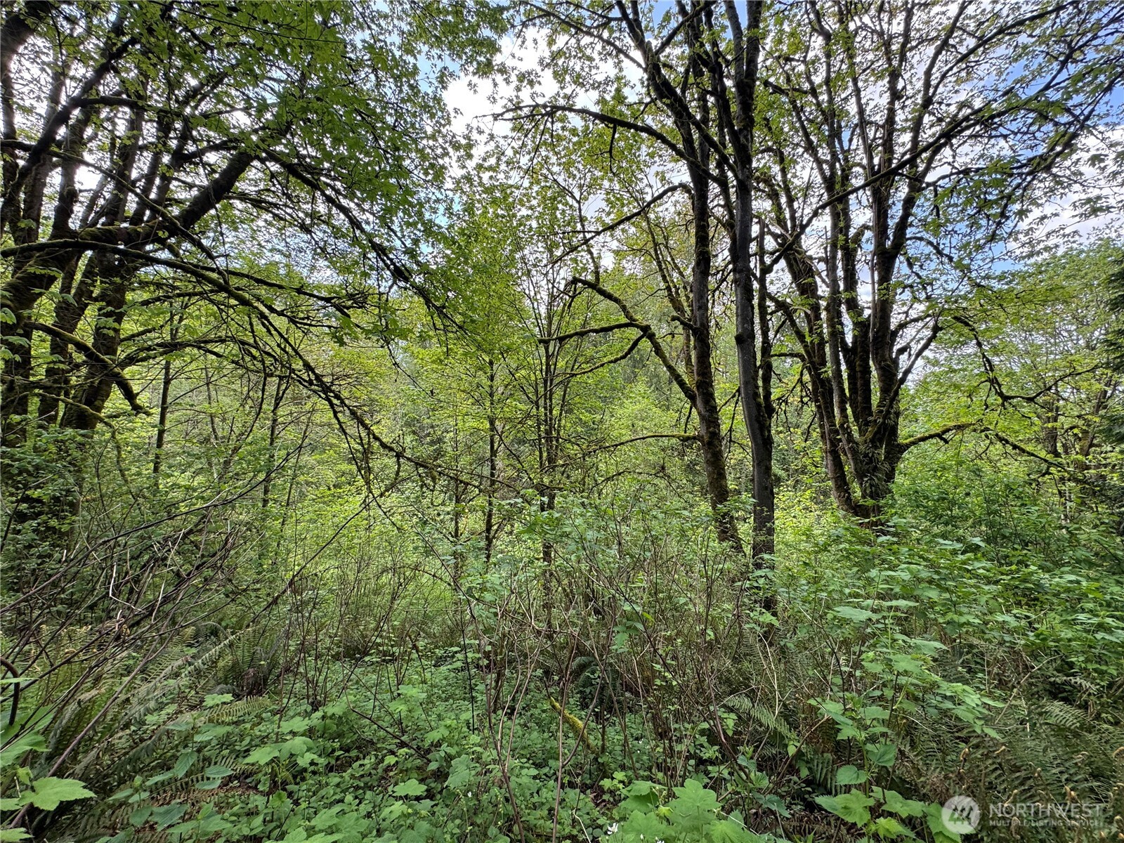 16113 Ne 124th Street Property Photo 1