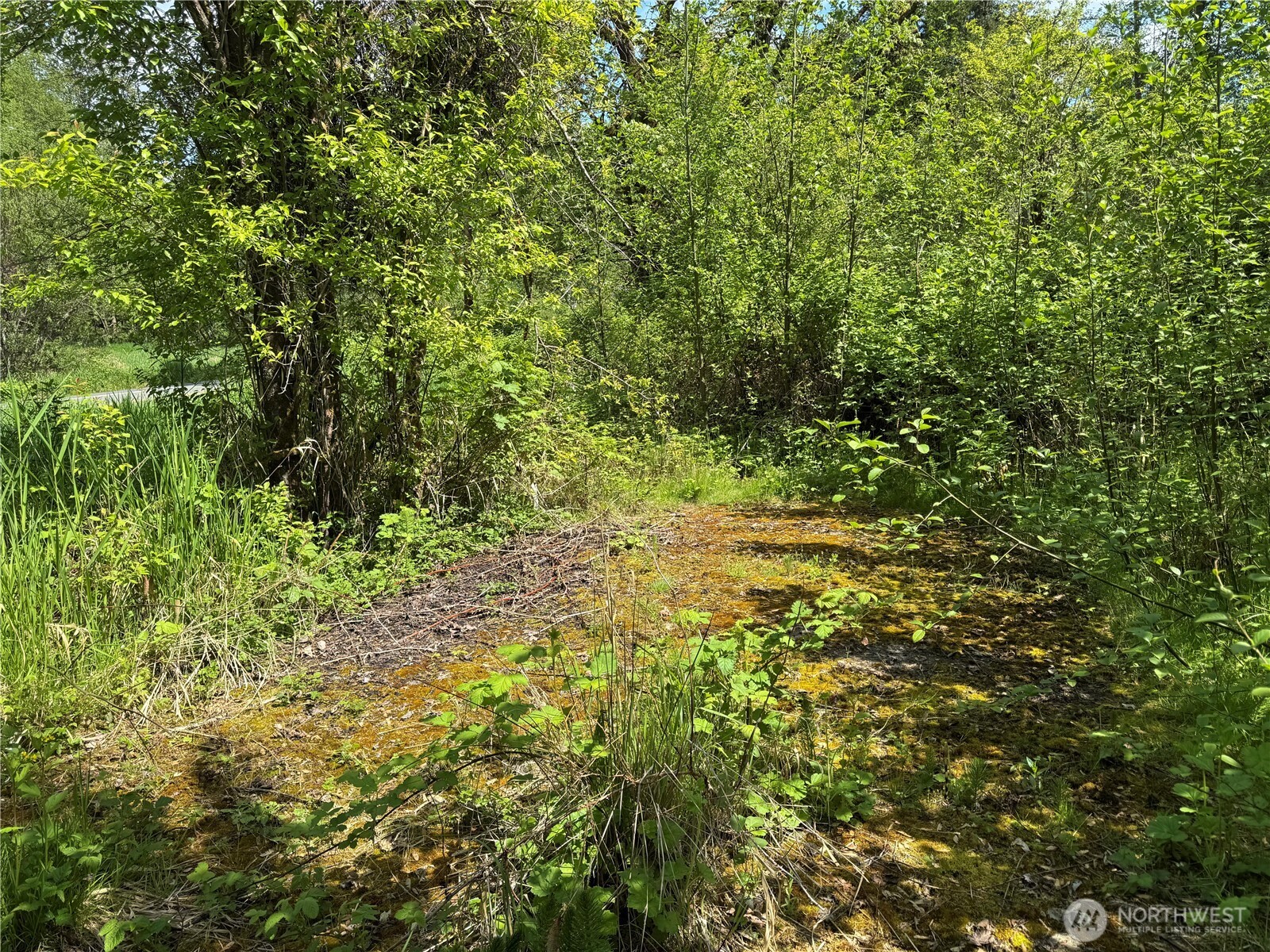 16113 Ne 124th Street Property Photo 4