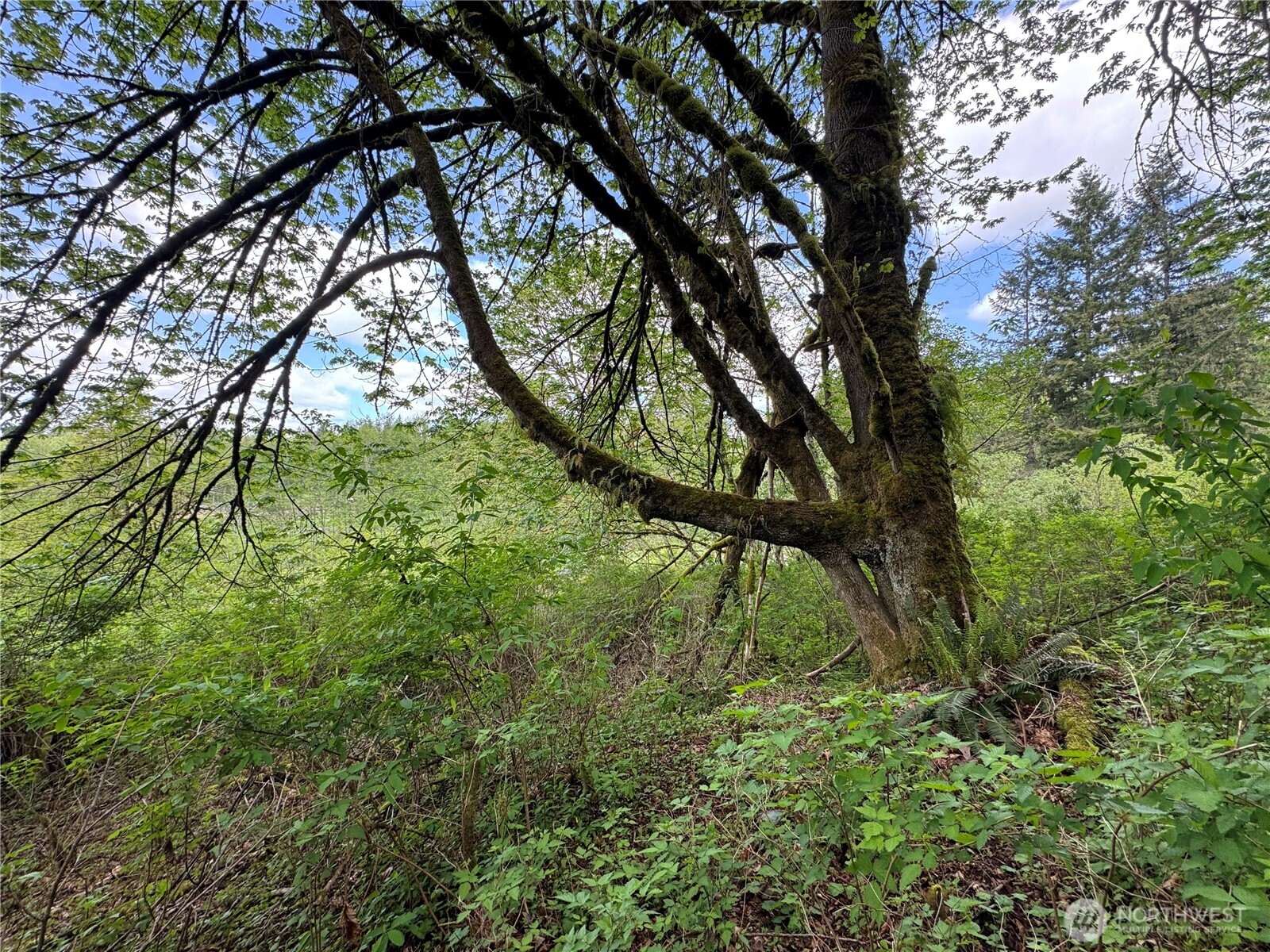 16113 Ne 124th Street Property Photo 7