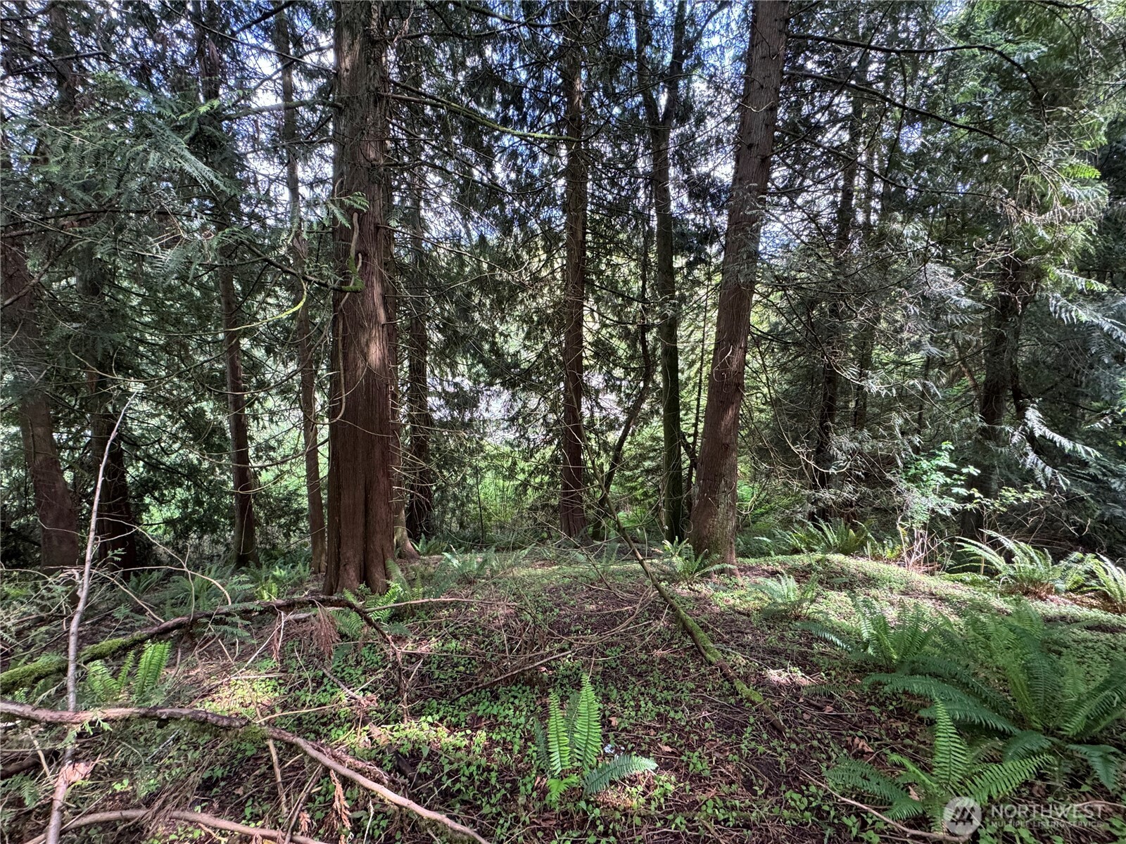 16113 Ne 124th Street Property Photo 8