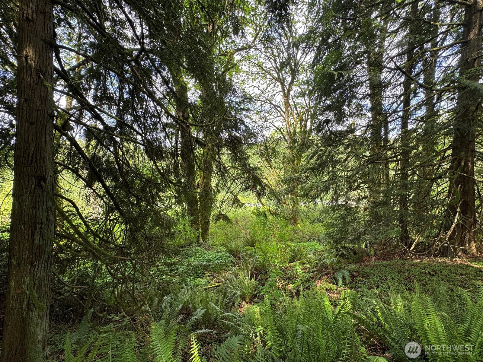 16113 Ne 124th Street Property Photo 9