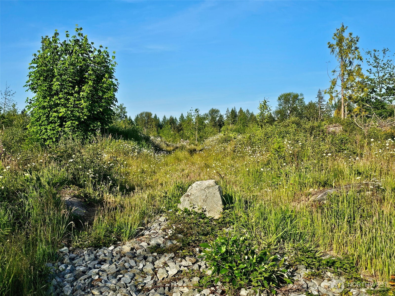 25867 150th Avenue Property Photo 4