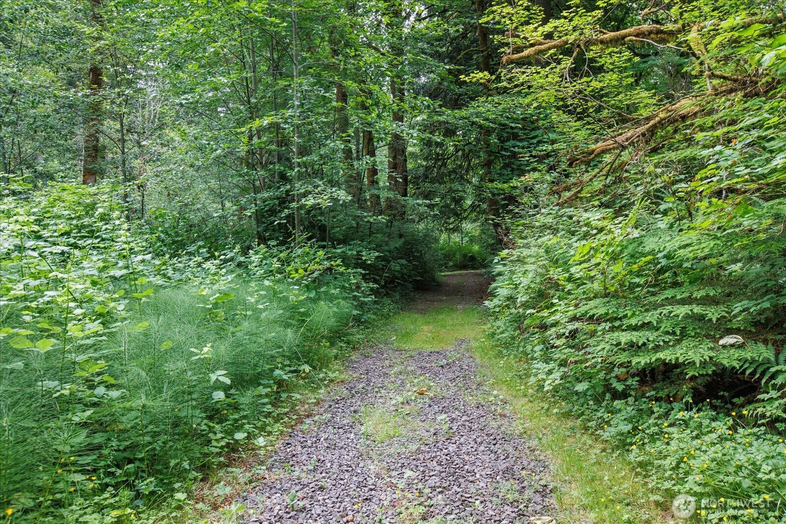 0 212th Street Property Photo 4