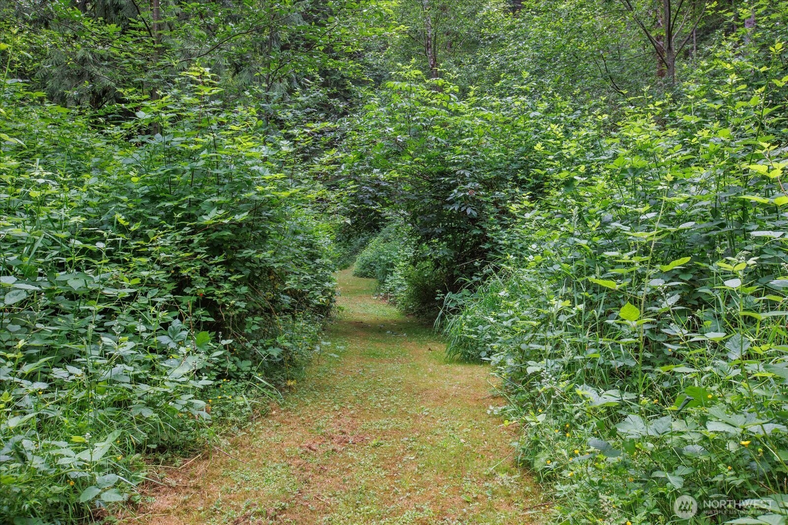 0 212th Street Property Photo 8