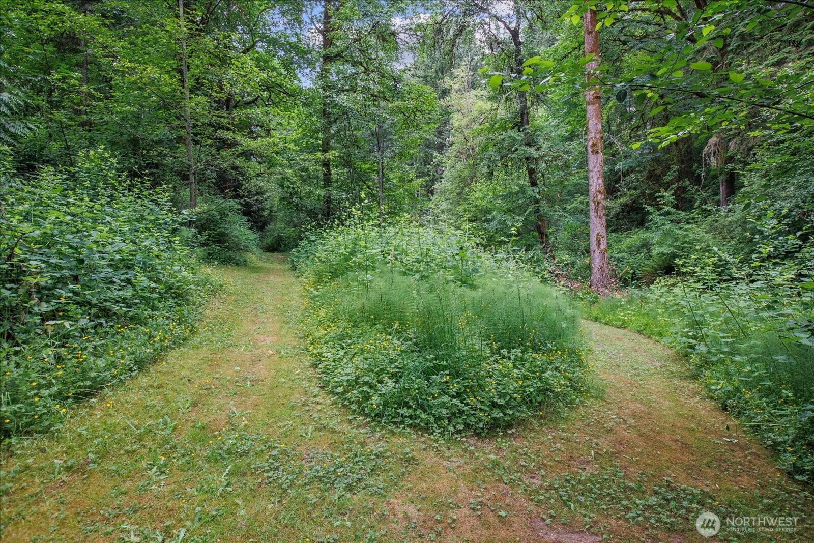 0 212th Street Property Photo 9