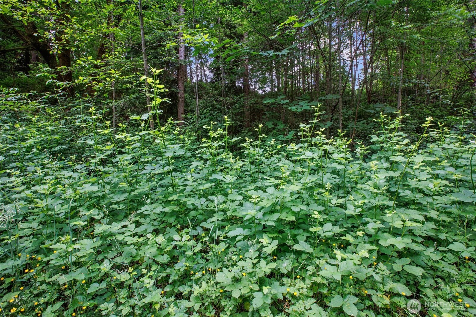 0 212th Street Property Photo 12