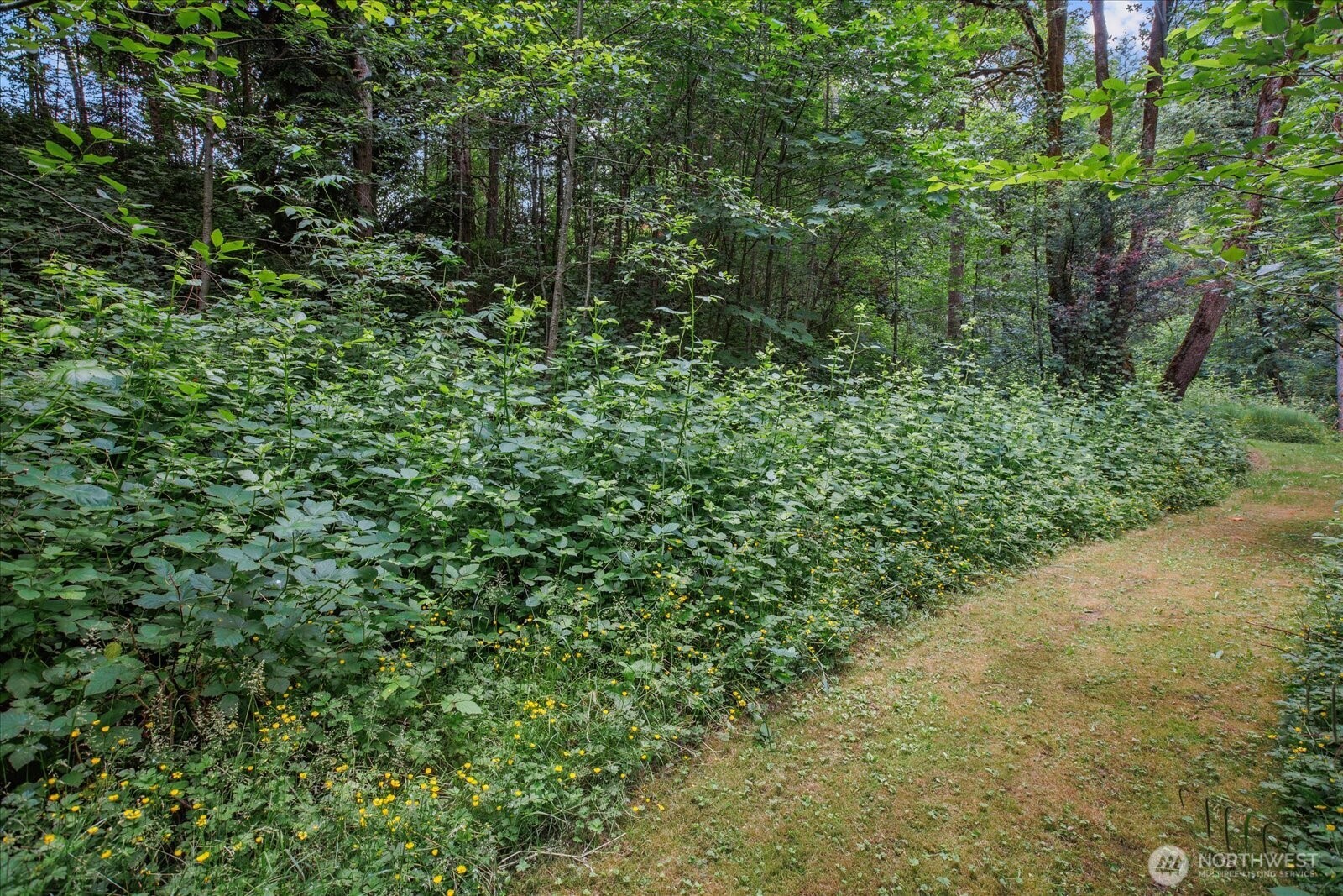 0 212th Street Property Photo 13