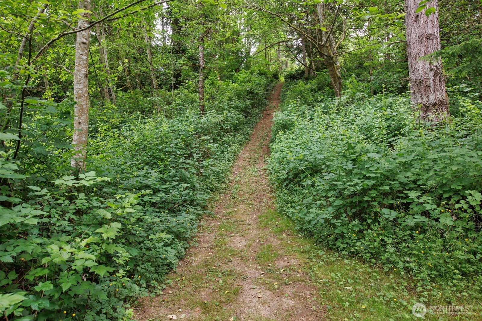 0 212th Street Property Photo 14