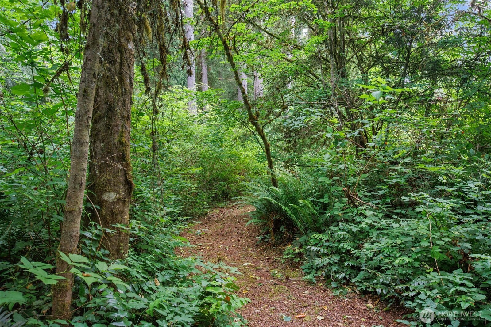 0 212th Street Property Photo 15