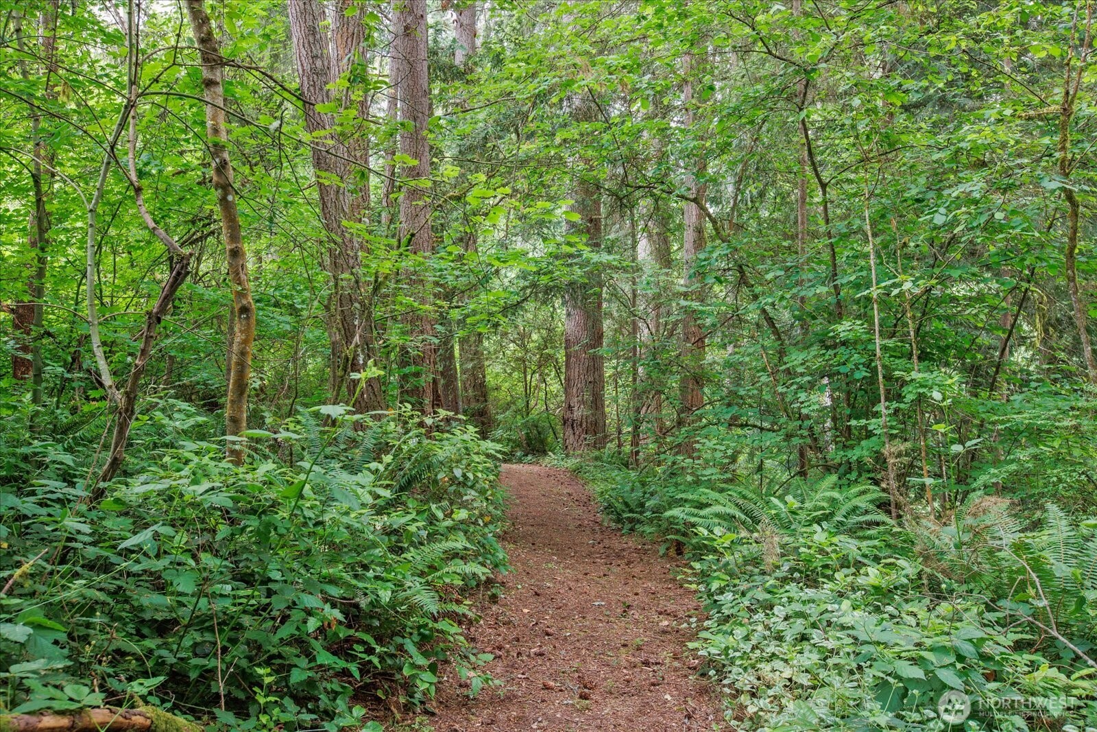 0 212th Street Property Photo 16