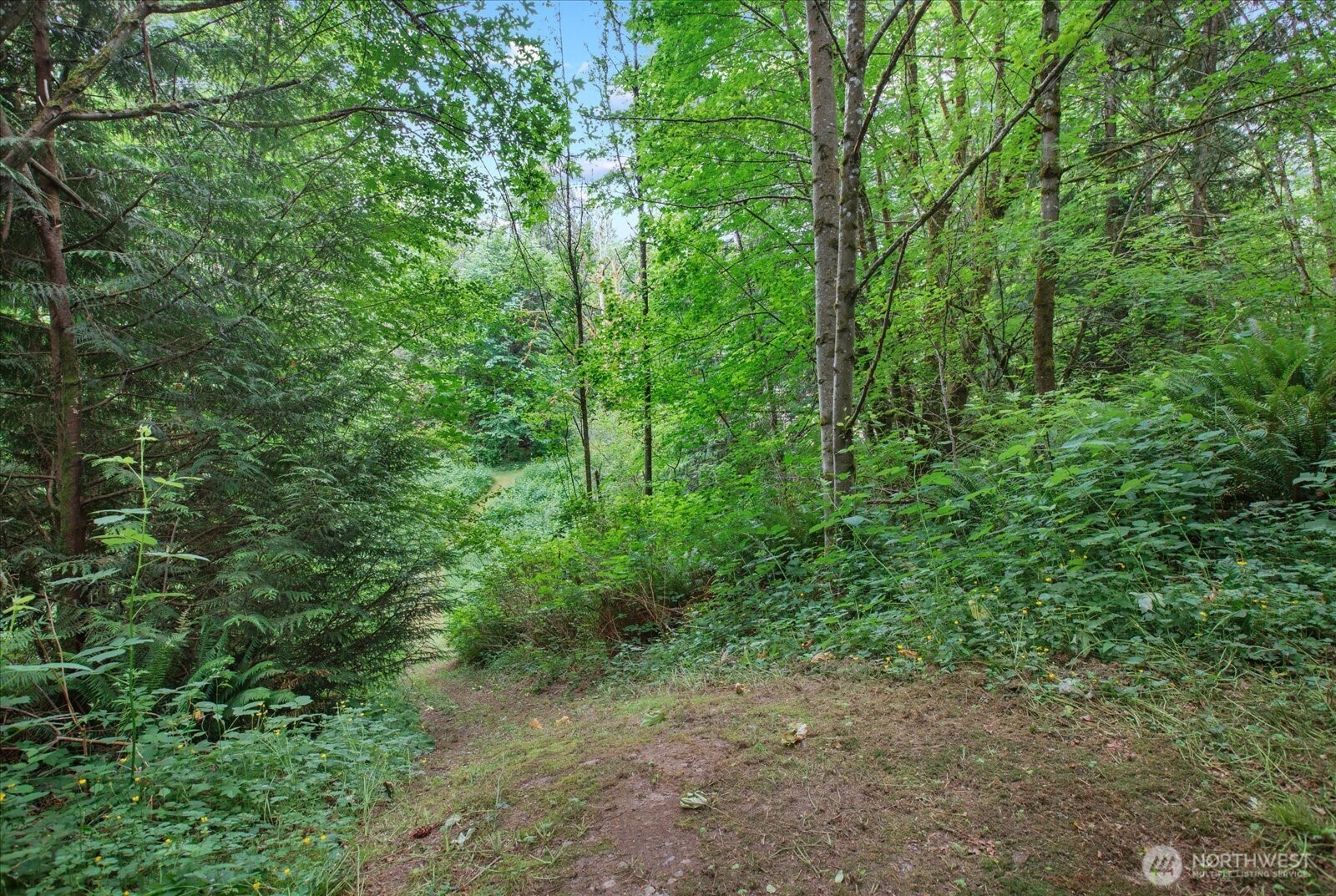 0 212th Street Property Photo 19