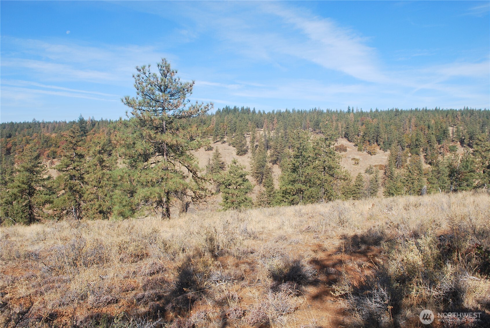 0 Hidden Meadows Property Photo 1
