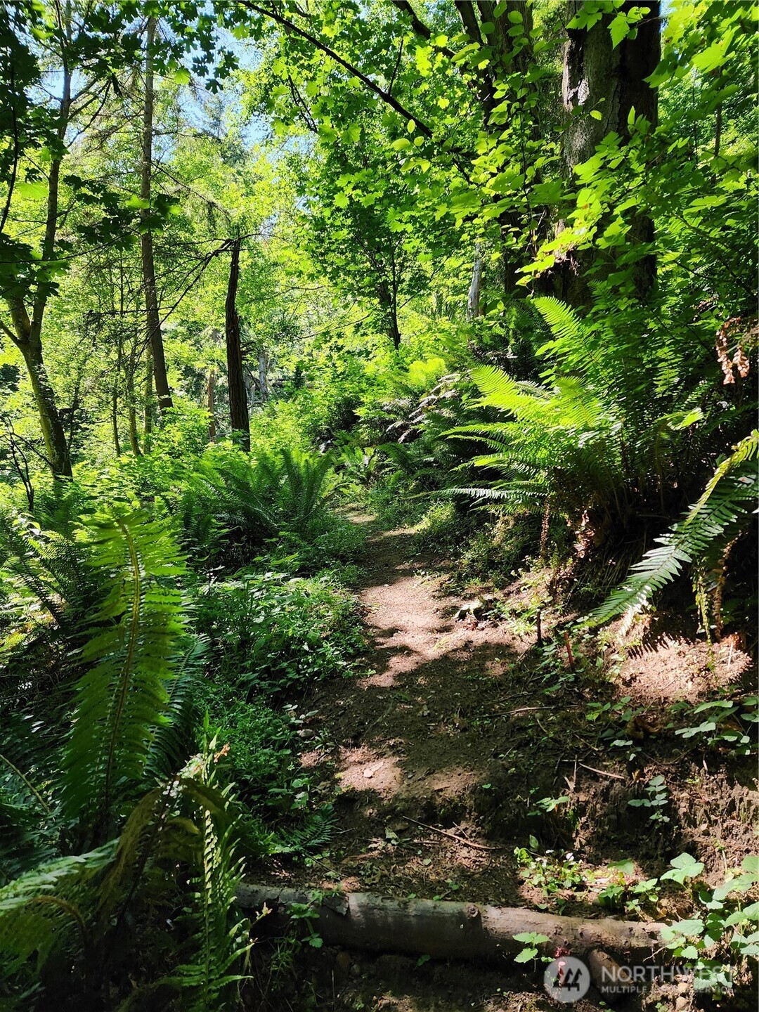 4076 Preserve Dr. Property Photo 4