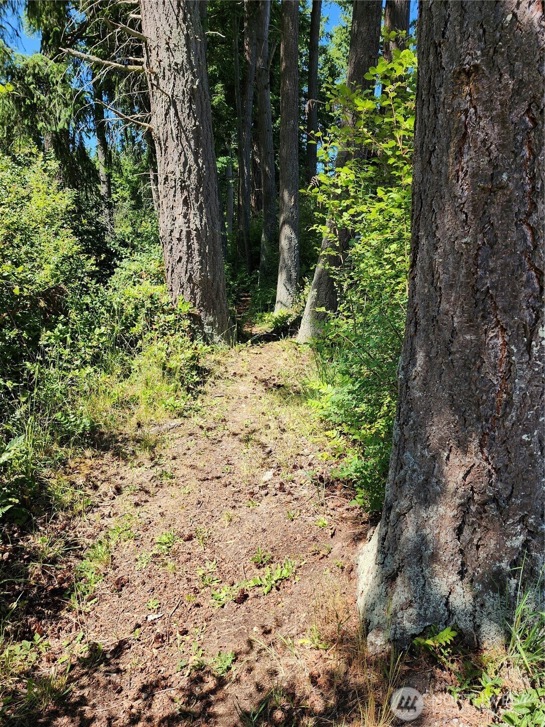 4076 Preserve Dr. Property Photo 6