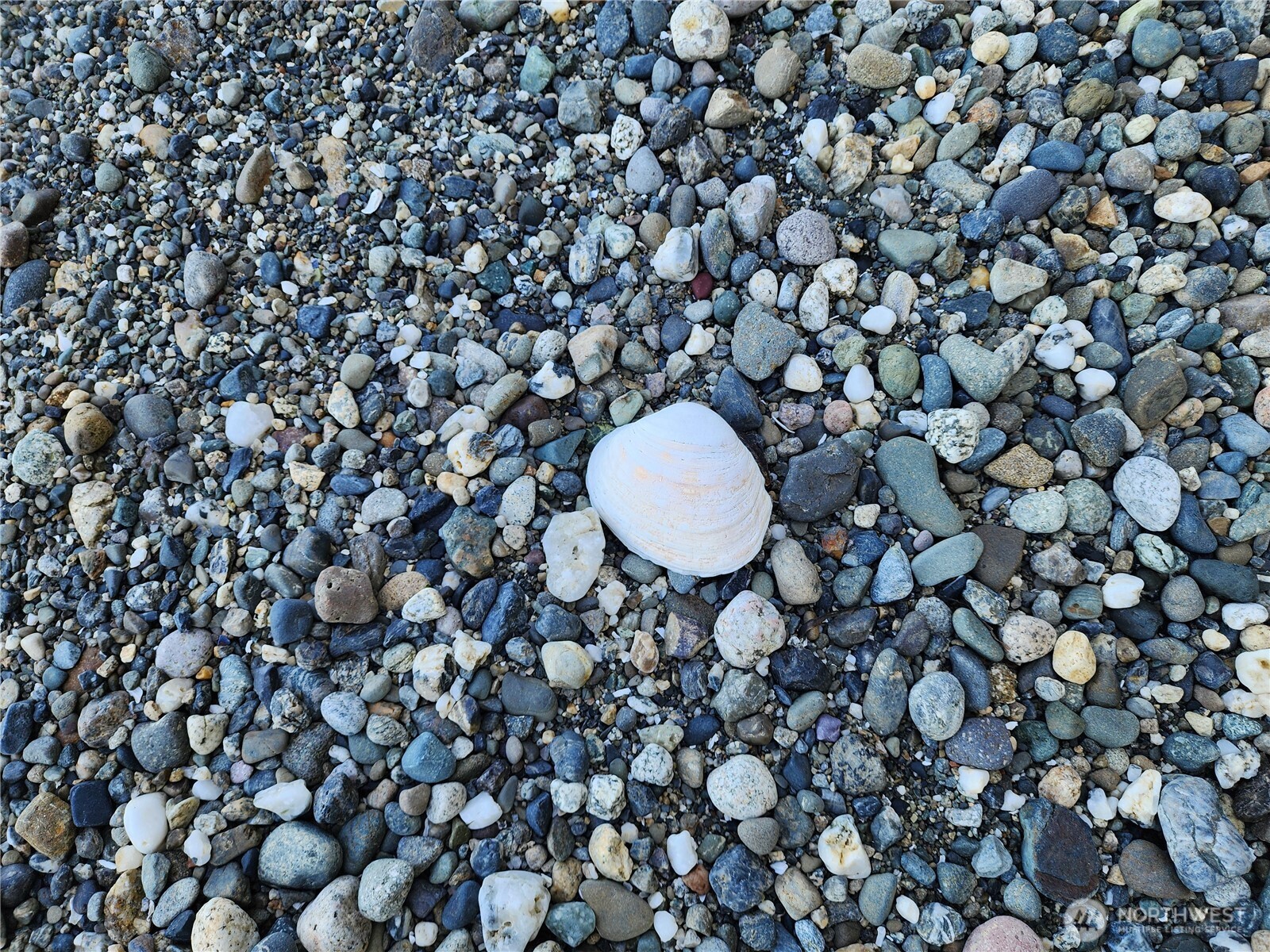 4076 Preserve Dr. Property Photo 12