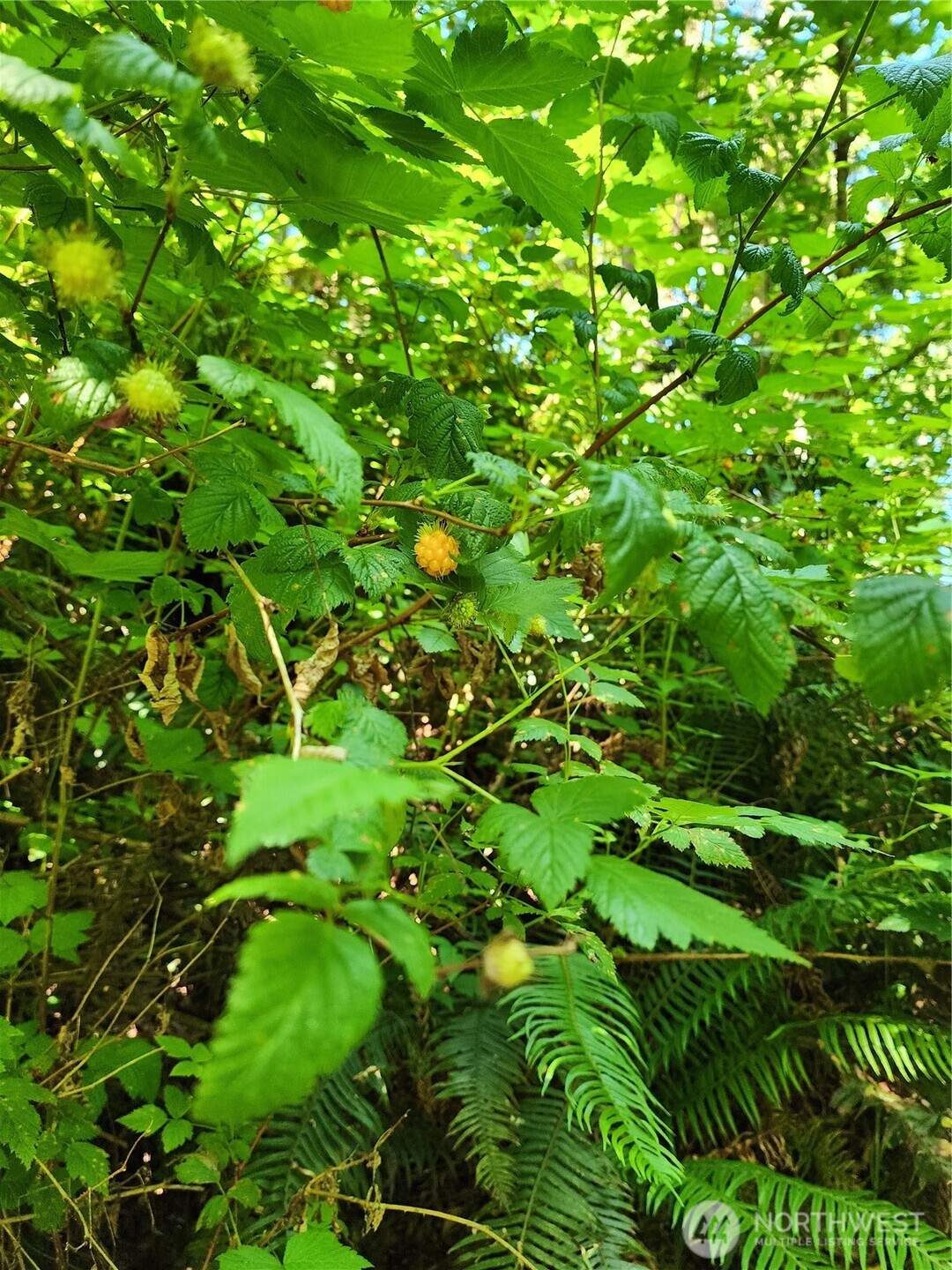 4076 Preserve Dr. Property Photo 13