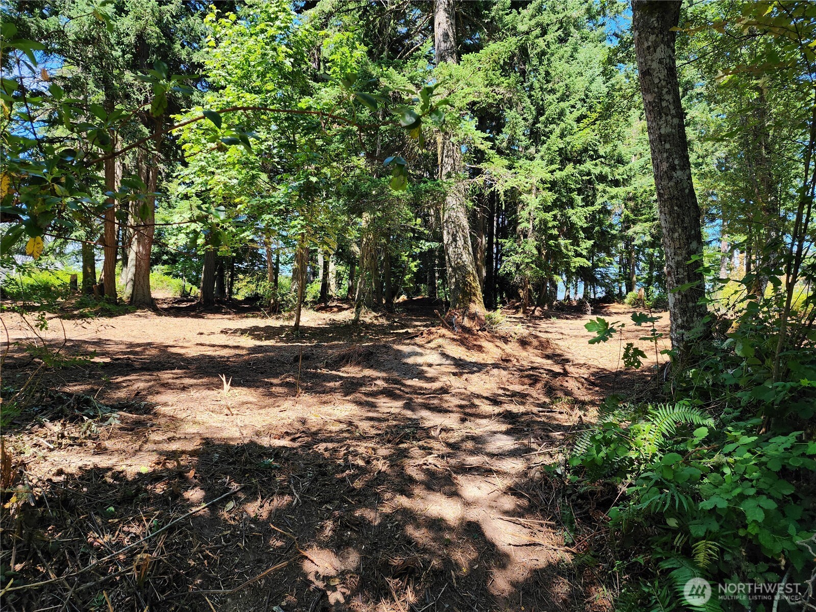 4076 Preserve Dr. Property Photo 15