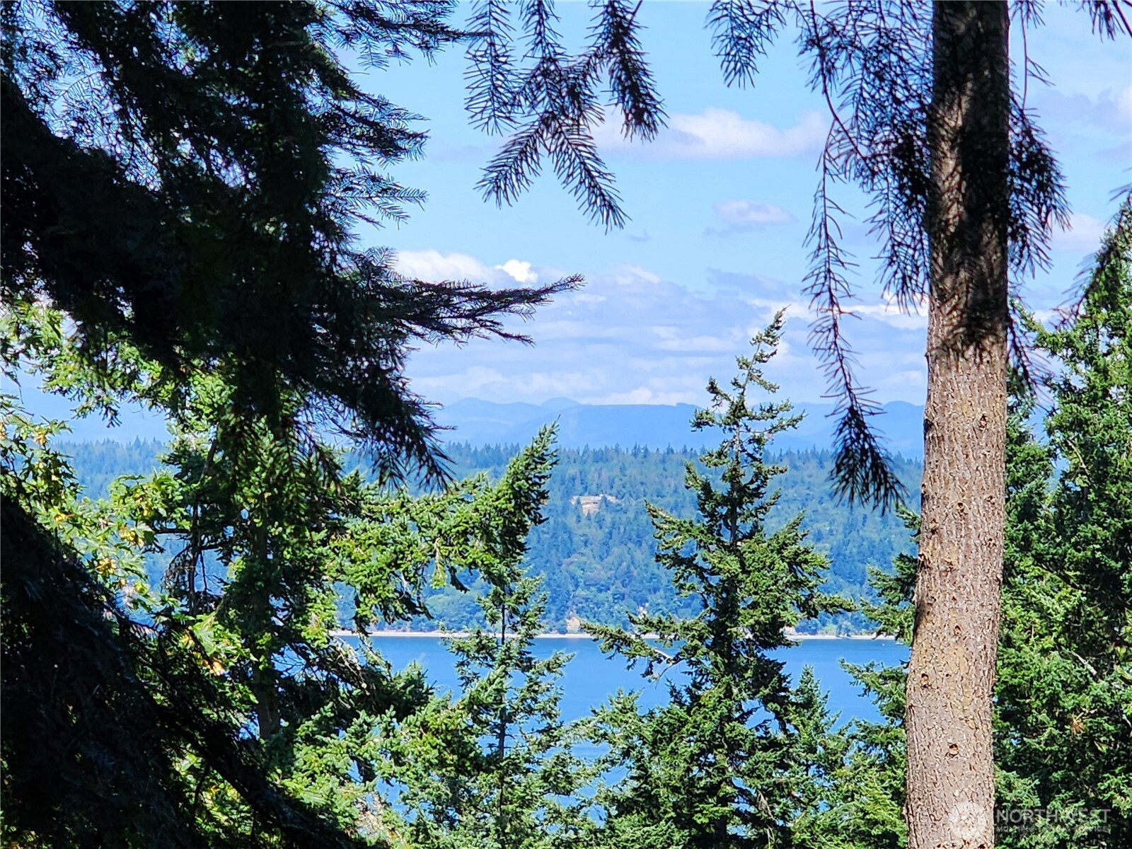 4076 Preserve Dr. Property Photo 16