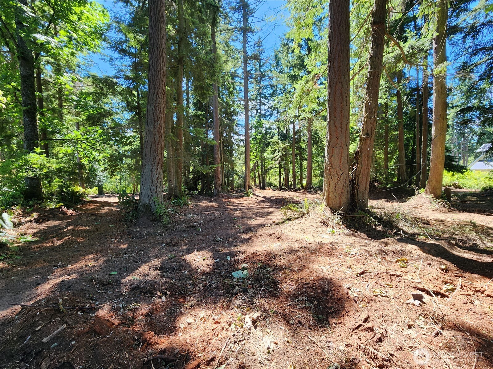 4076 Preserve Dr. Property Photo 17