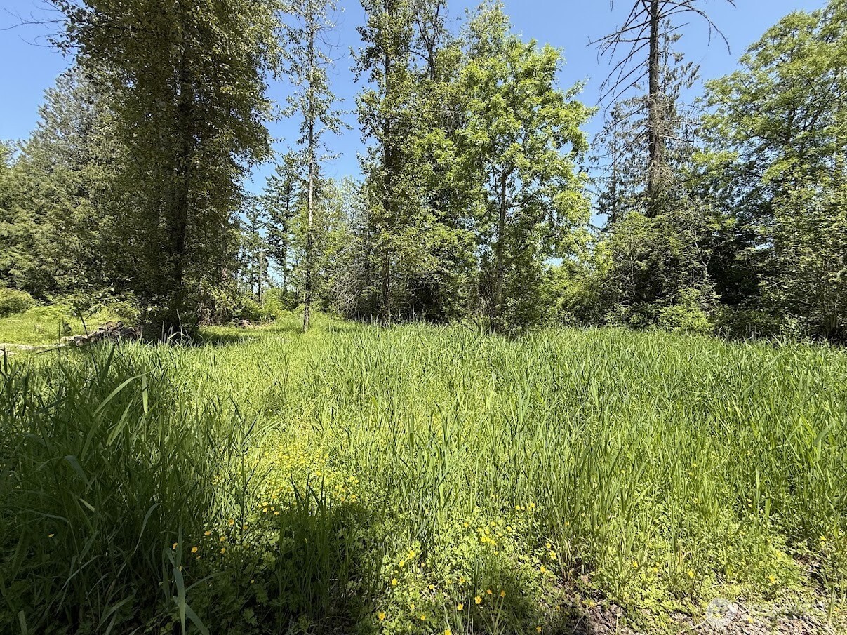 22110 70th Avenue Property Photo 13