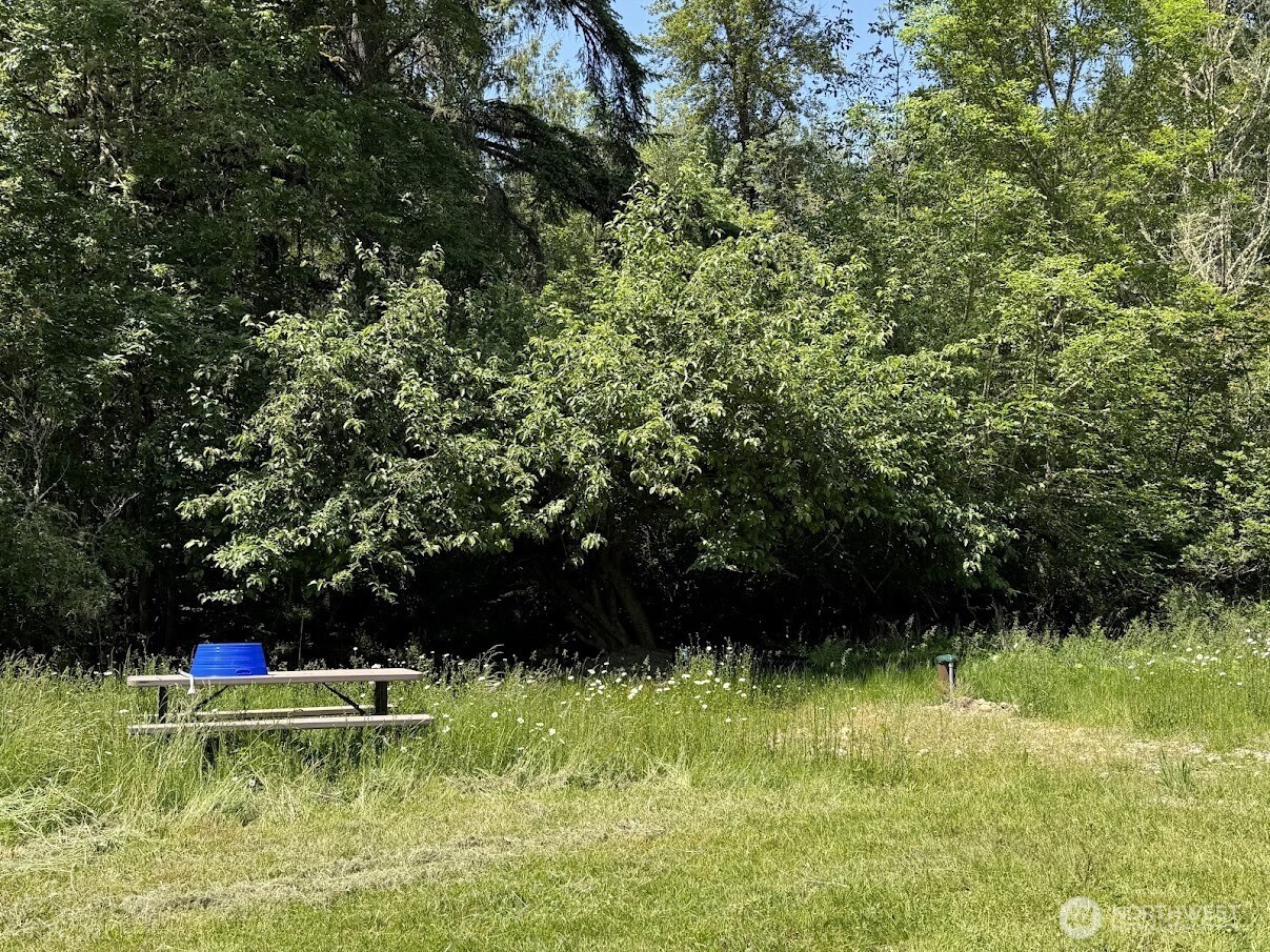 22110 70th Avenue Property Photo 14