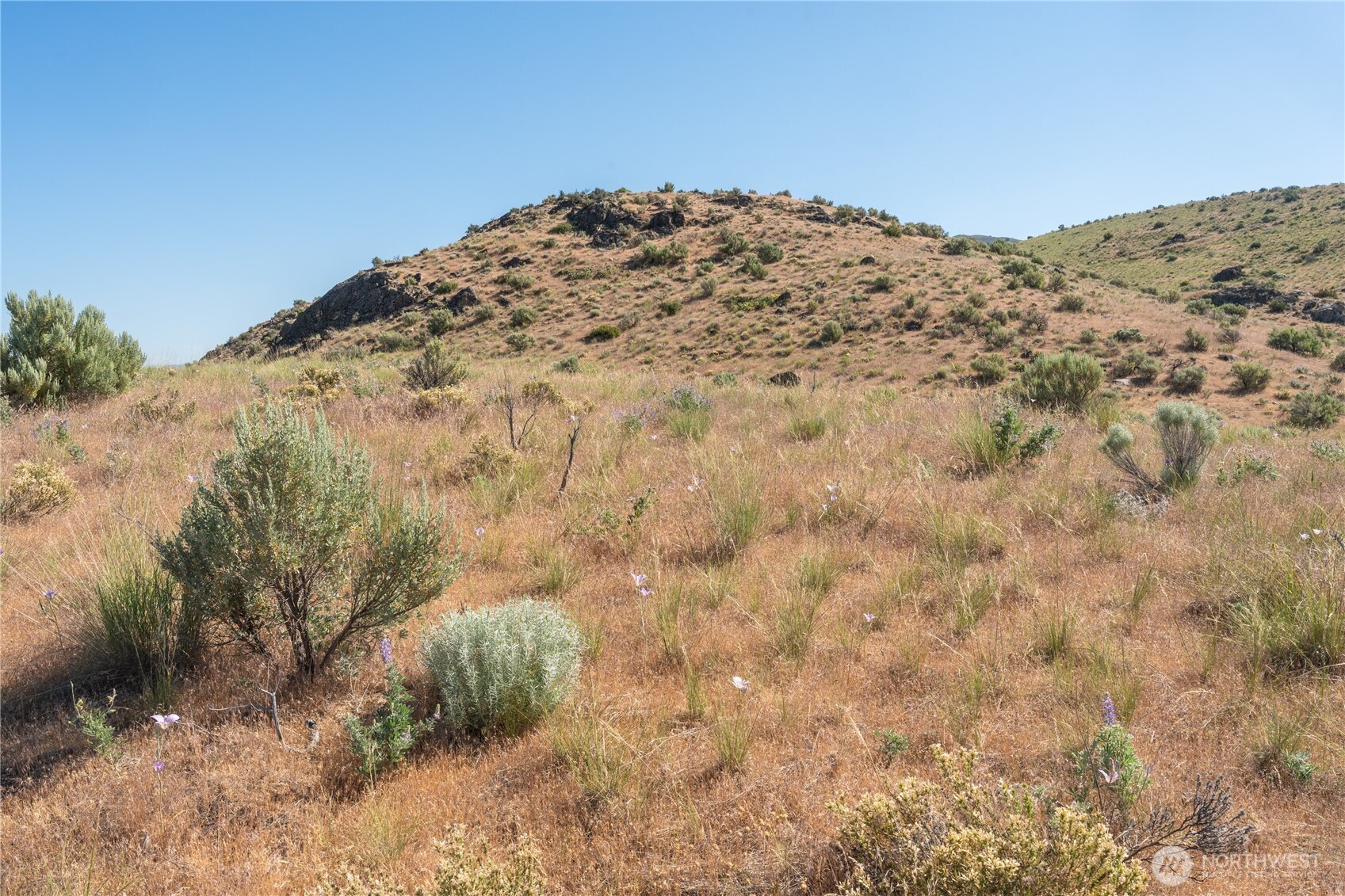 0 Tract 6 Mcneil Canyon Rd Property Photo 6