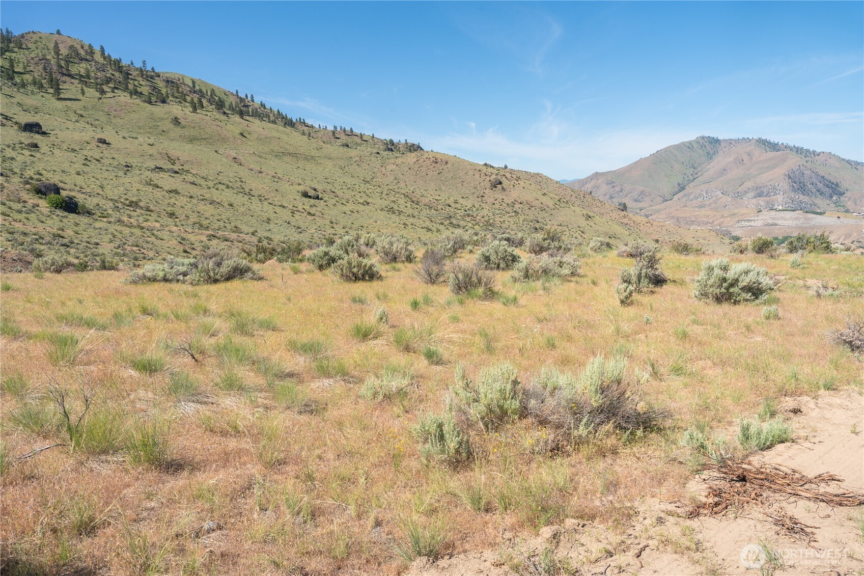 0 Tract 6 Mcneil Canyon Rd Property Photo 7