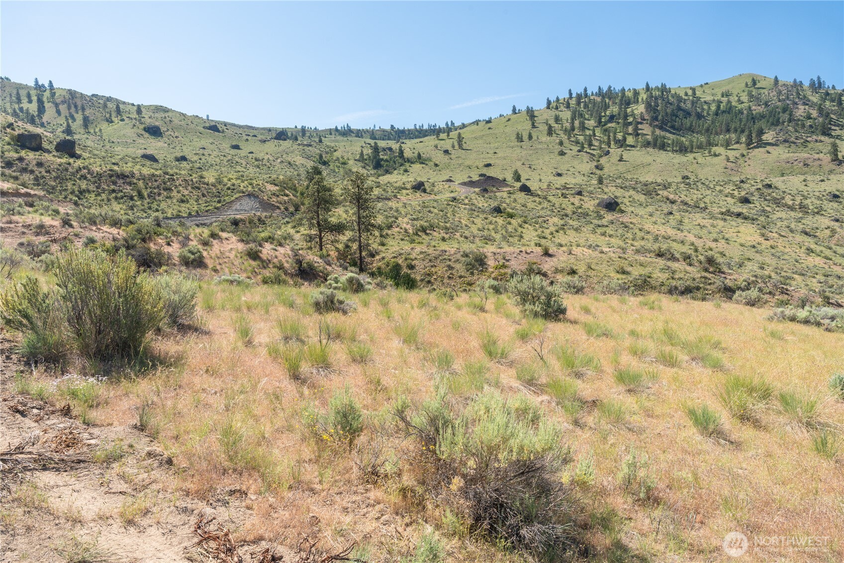 0 Tract 6 Mcneil Canyon Rd Property Photo 8