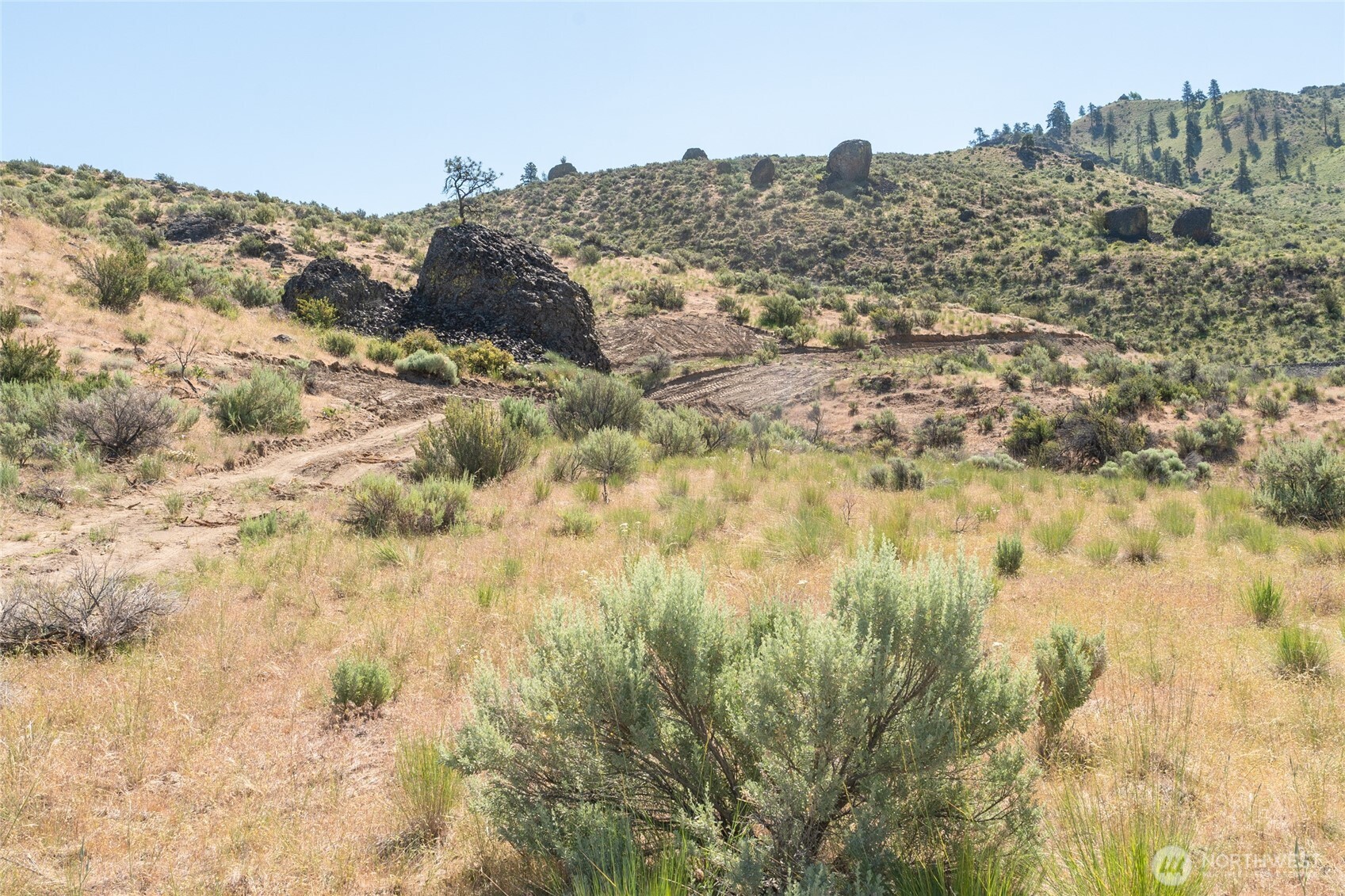 0 Tract 6 Mcneil Canyon Rd Property Photo 9