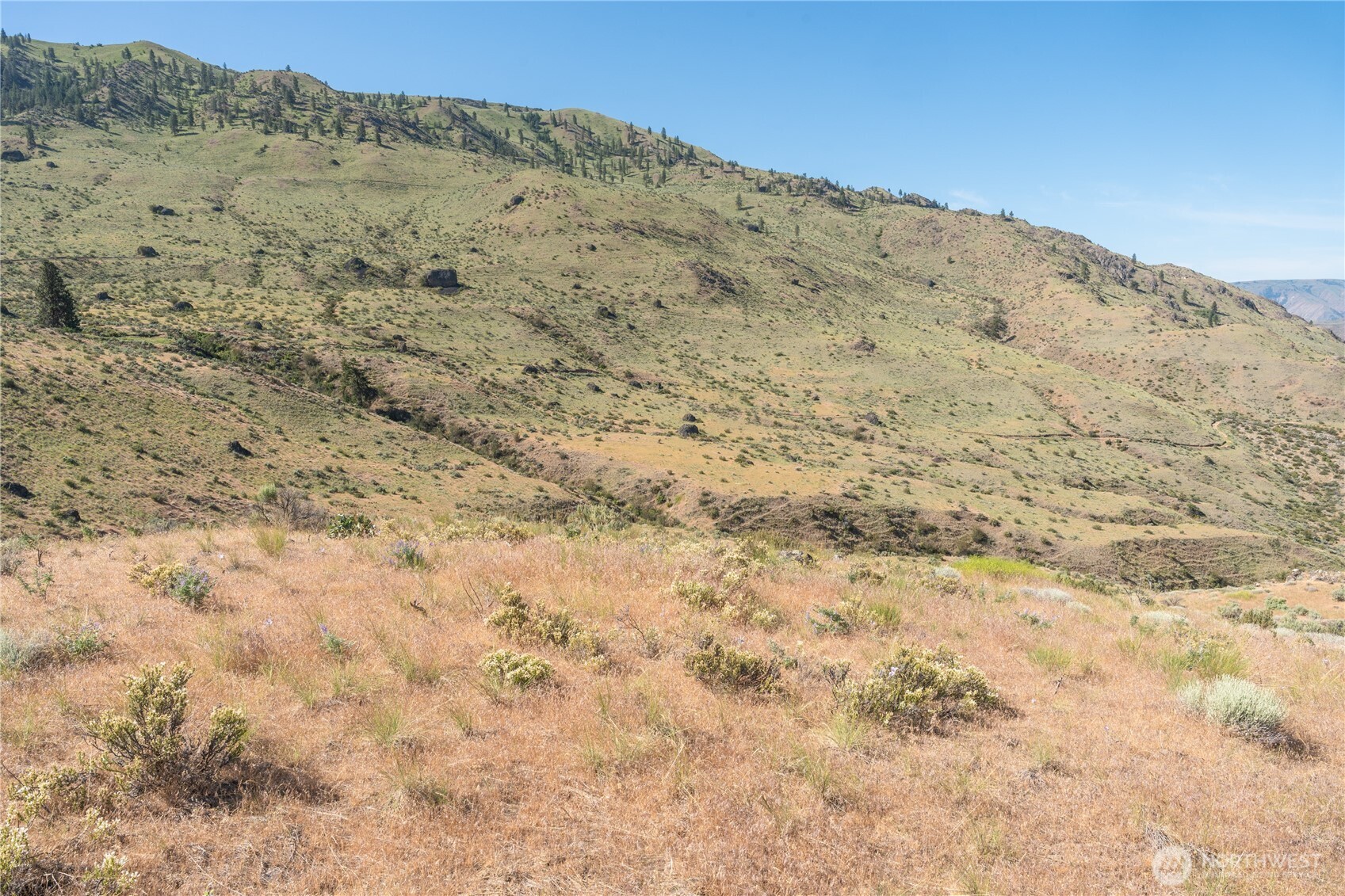 0 Tract 6 Mcneil Canyon Rd Property Photo 10