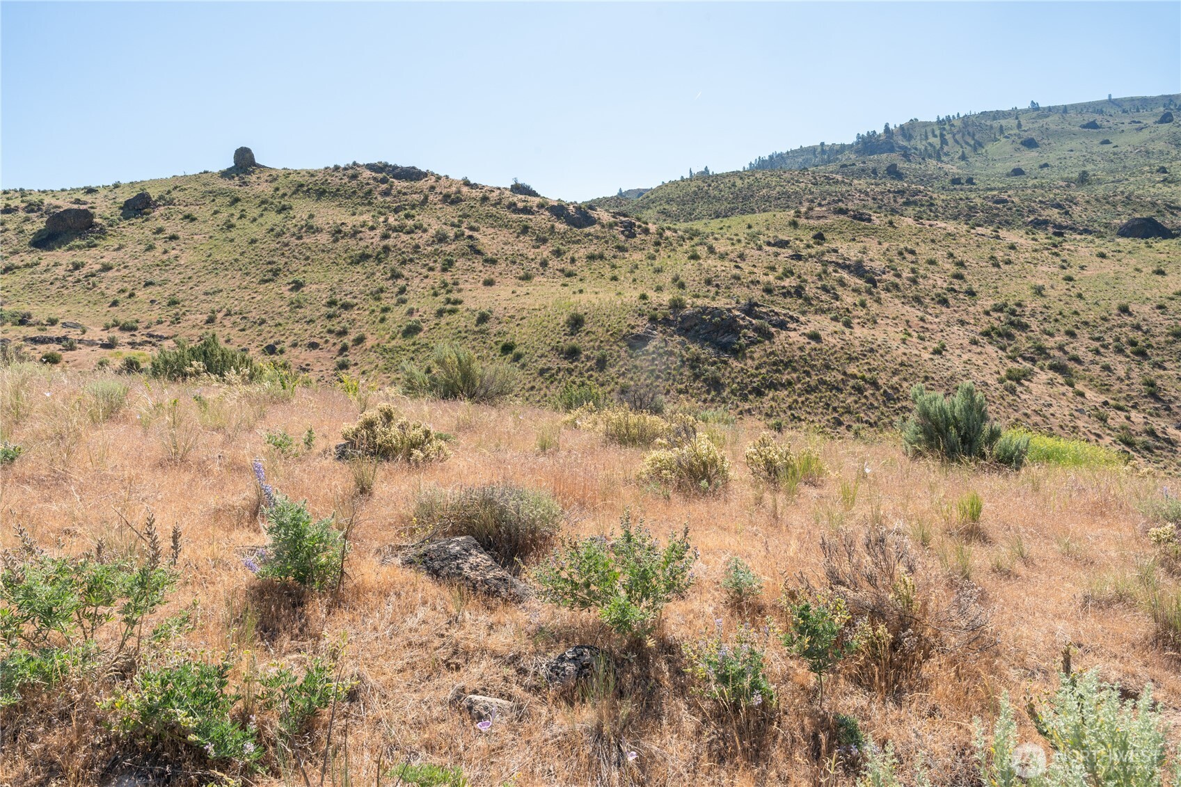 0 Tract 6 Mcneil Canyon Rd Property Photo 11