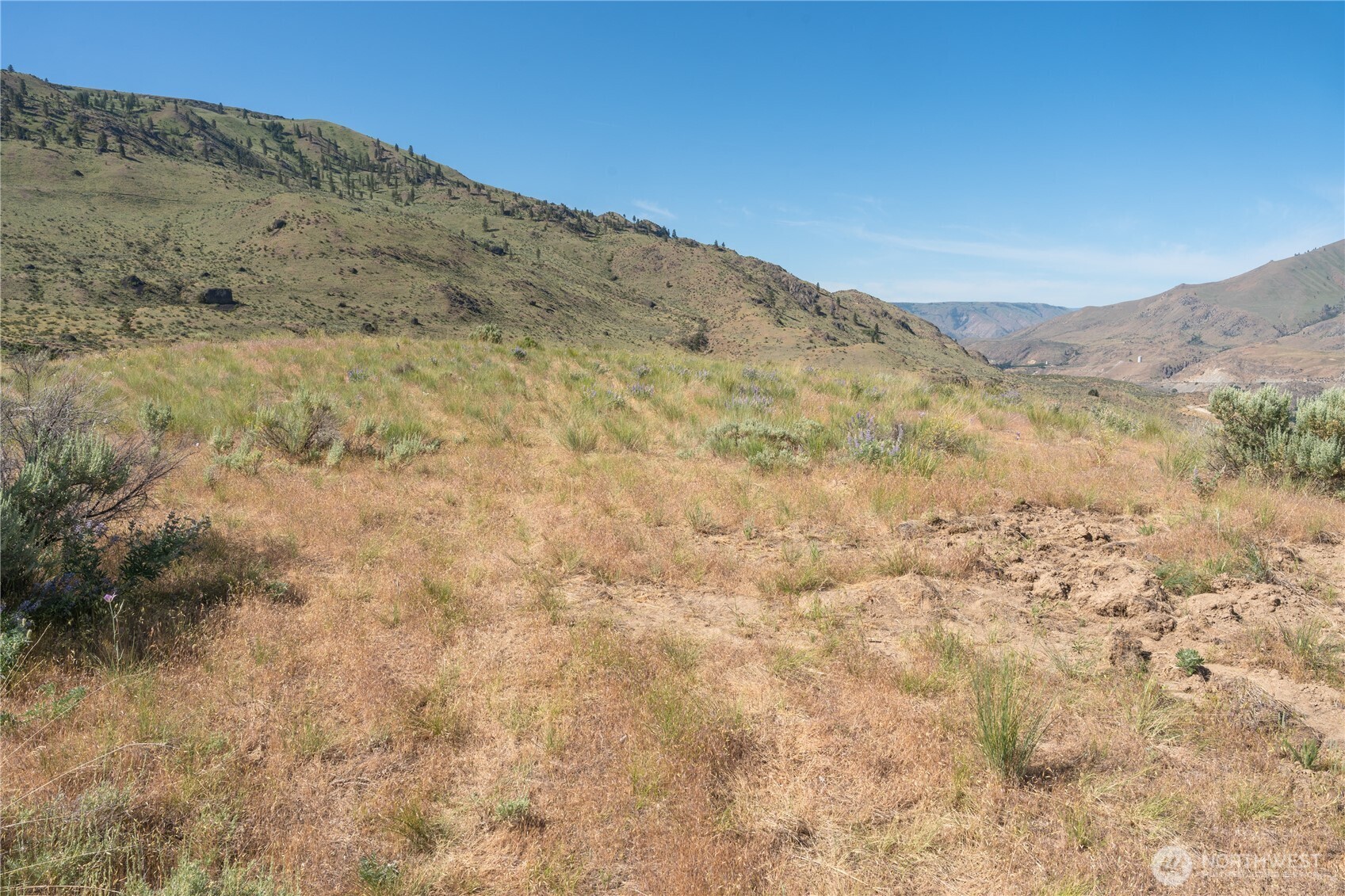 0 Tract 6 Mcneil Canyon Rd Property Photo 15