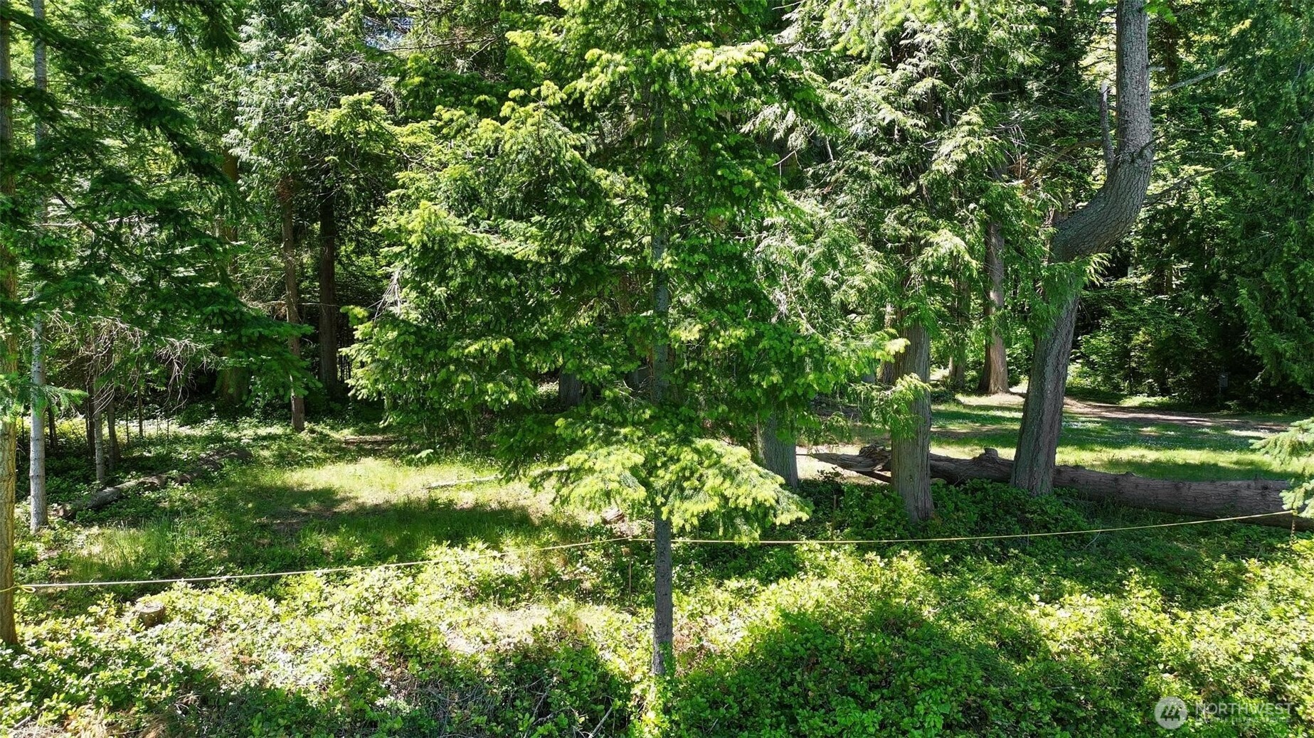 2515 Bretland Road Property Photo 8