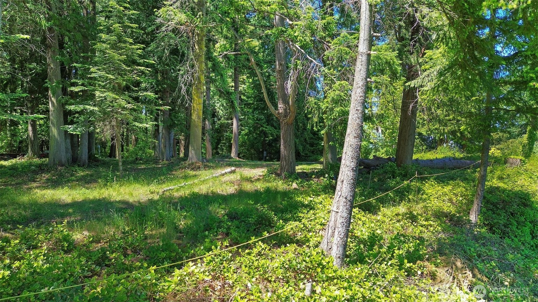 2515 Bretland Road Property Photo 9