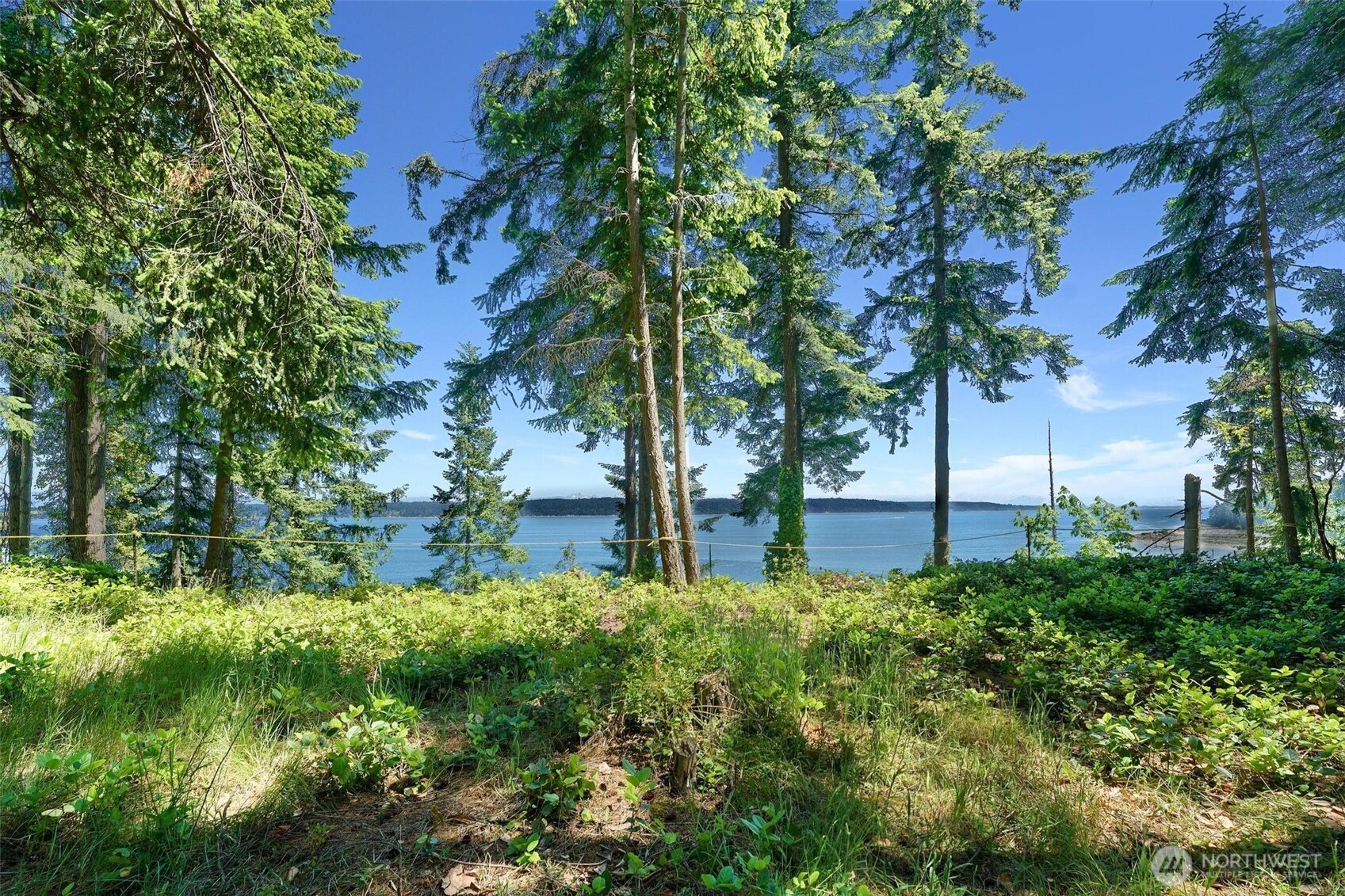 2515 Bretland Road Property Photo 14