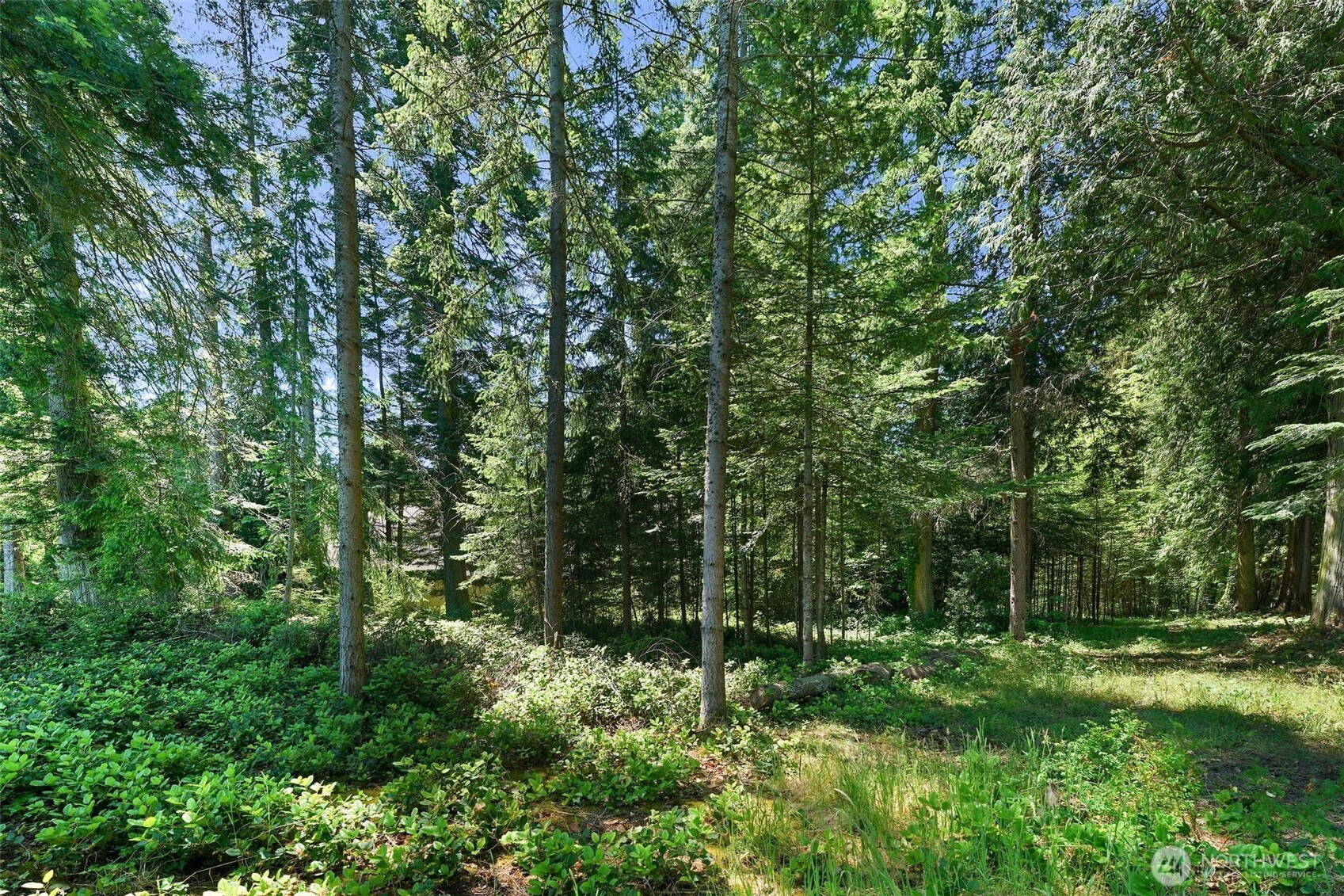 2515 Bretland Road Property Photo 16