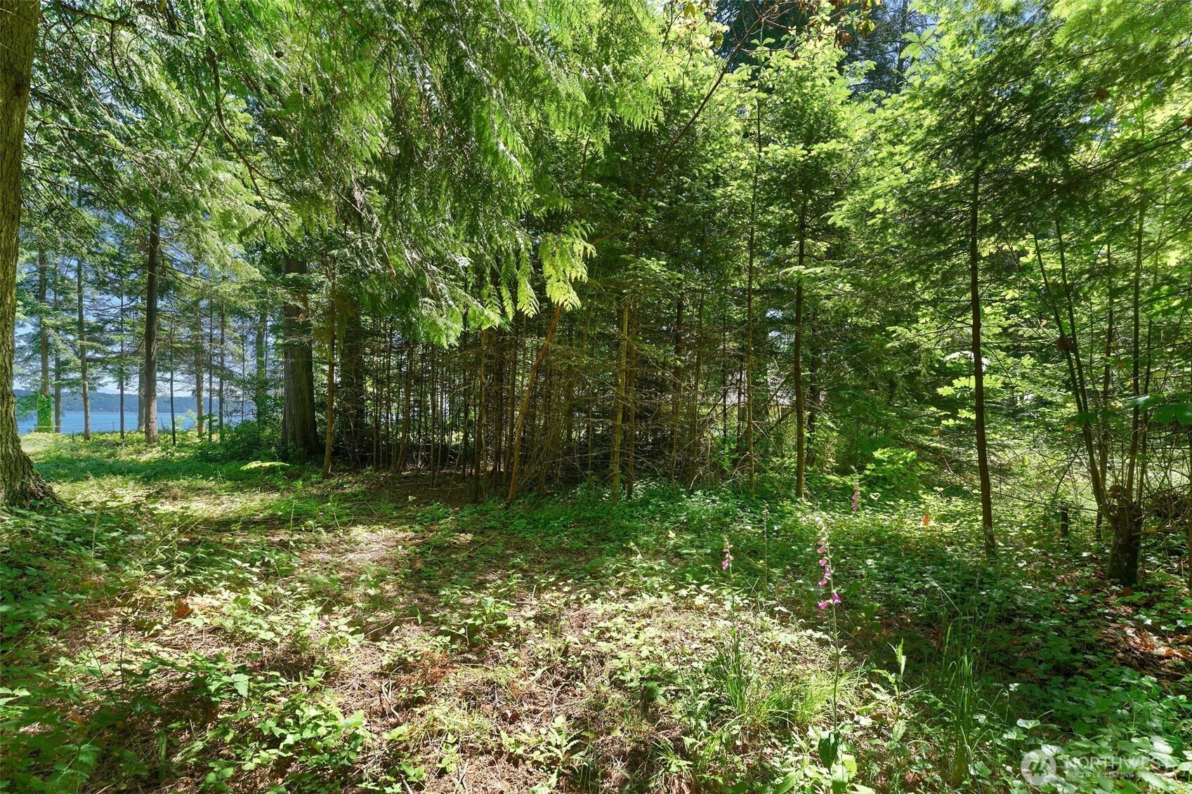 2515 Bretland Road Property Photo 17