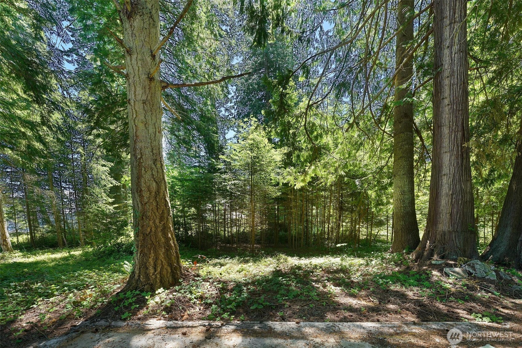 2515 Bretland Road Property Photo 19