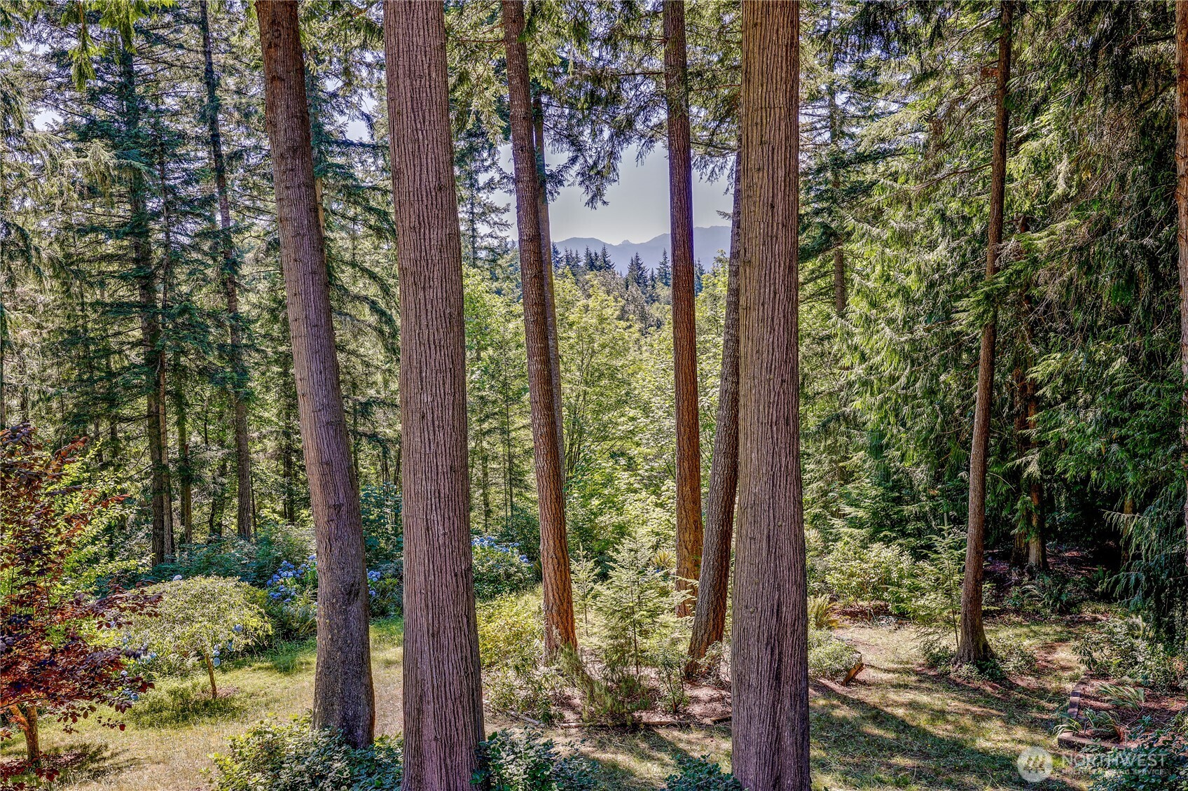 11 Bishop Hill Road Property Photo 30