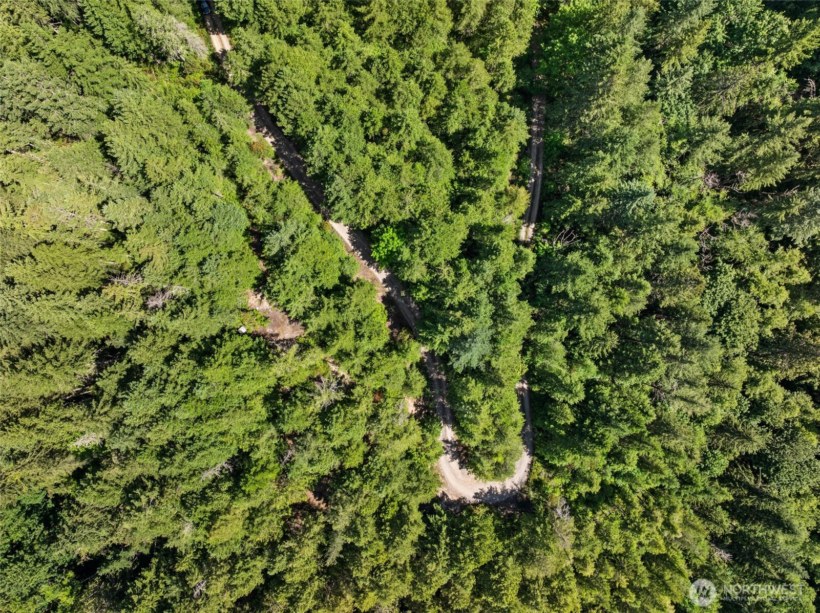 6133 Blue Mountain Lane Property Photo 3
