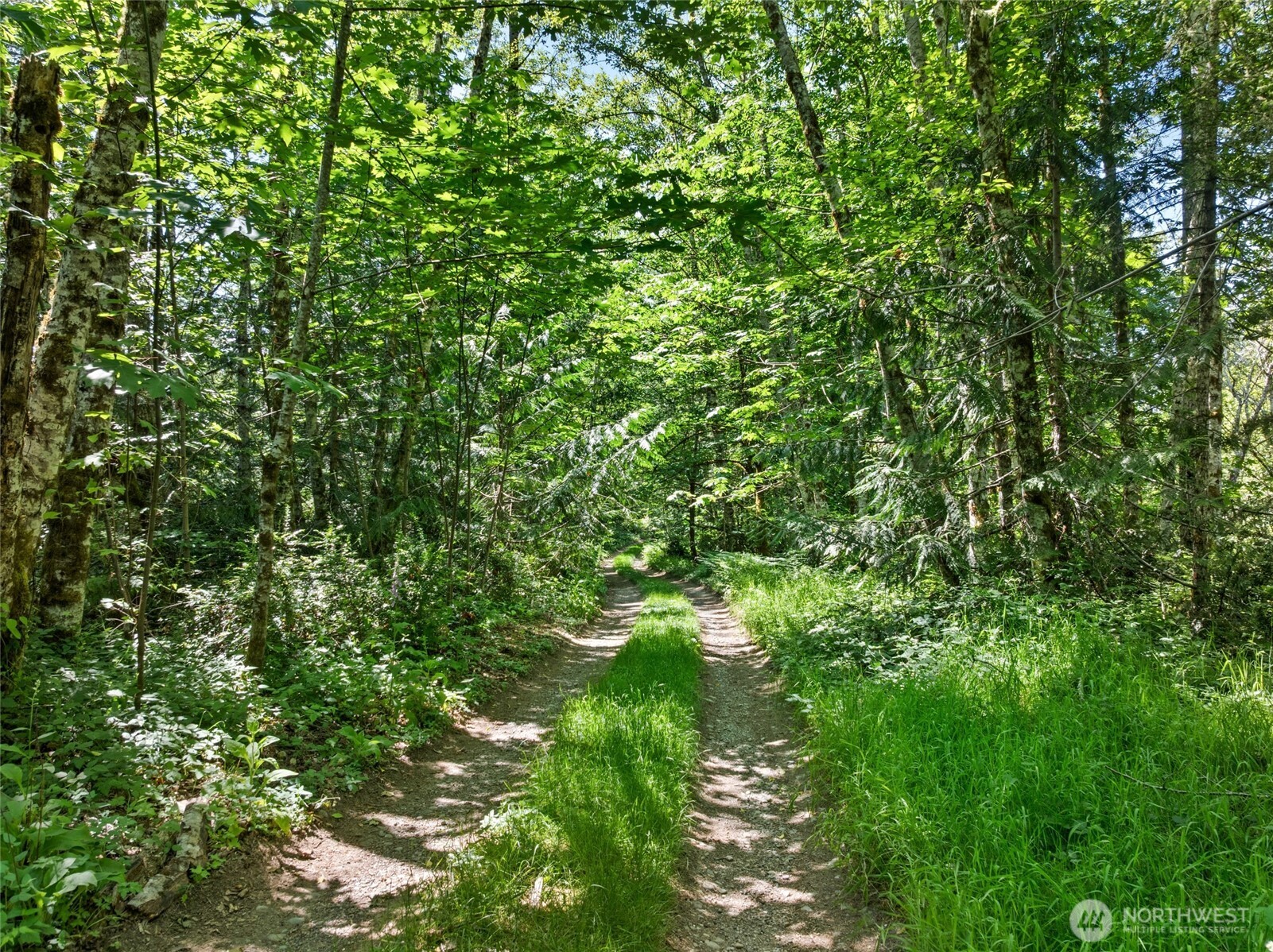 6133 Blue Mountain Lane Property Photo 7